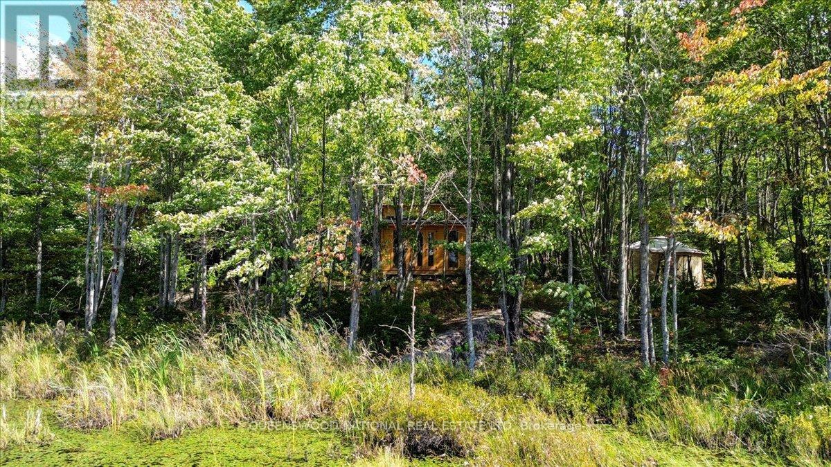 560 Mask Road W, Killaloe, Ontario  K0J 2A0 - Photo 43 - X12370451