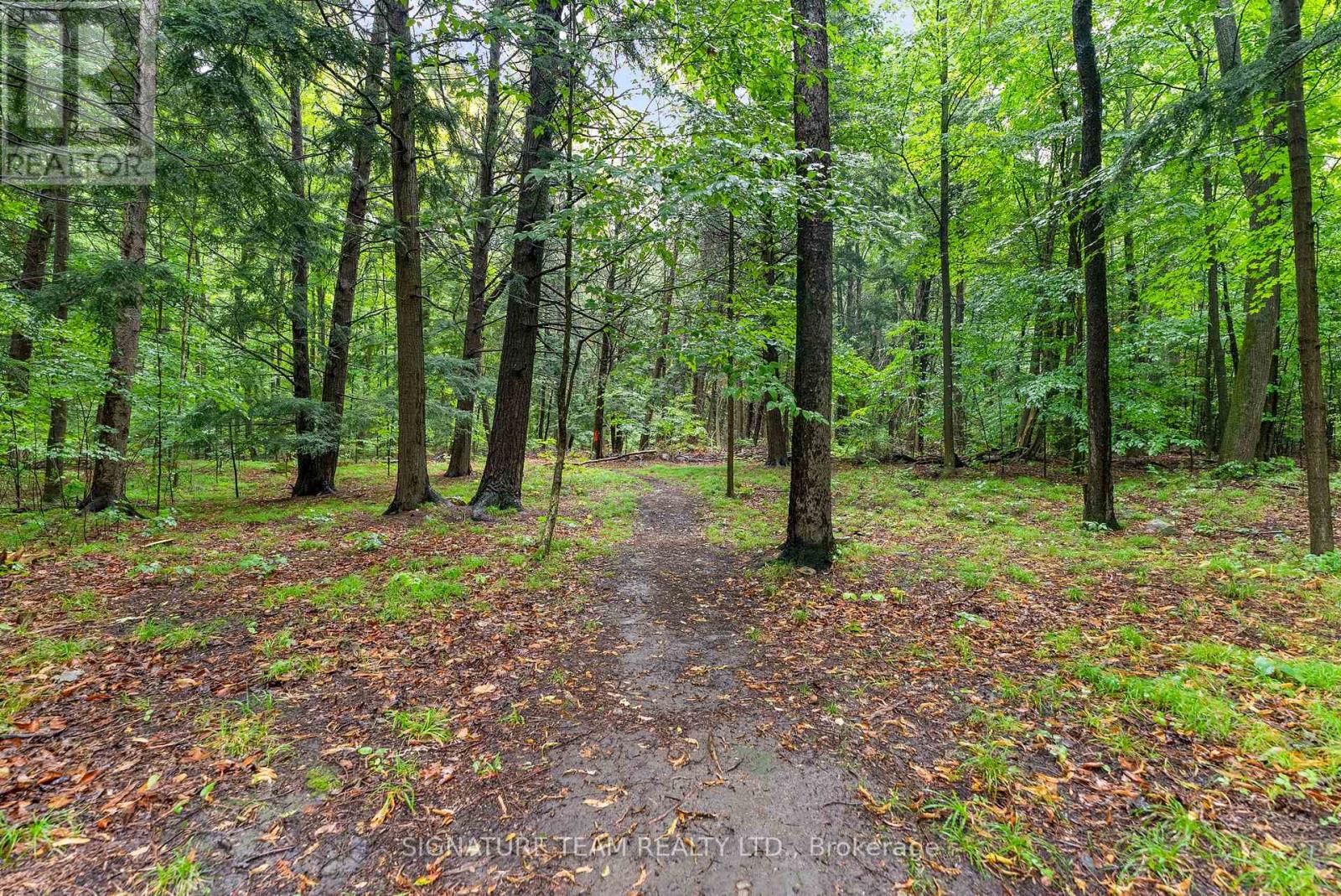 3360 Foymount Road, Bonnechere Valley, Ontario  K0J 1M0 - Photo 18 - X12370458