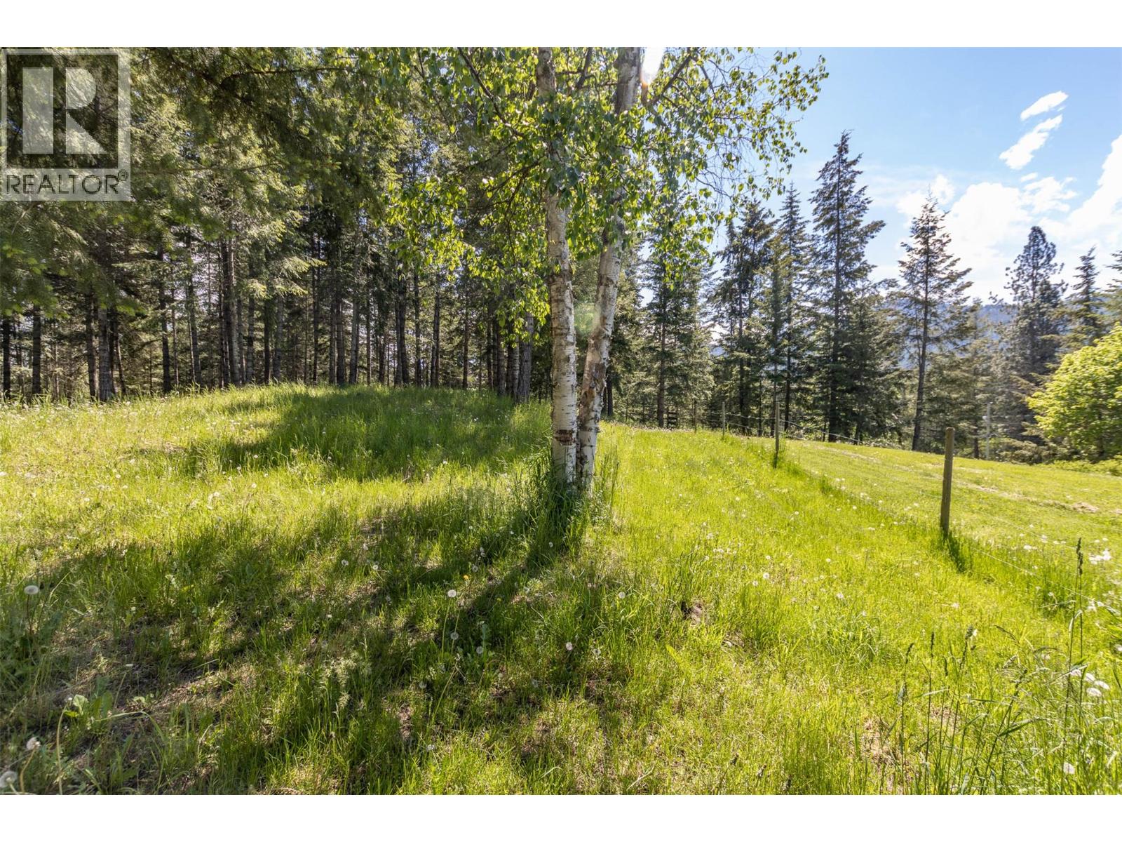 3851 10 Avenue Se, Salmon Arm, British Columbia  V1E 1W7 - Photo 11 - 10355535