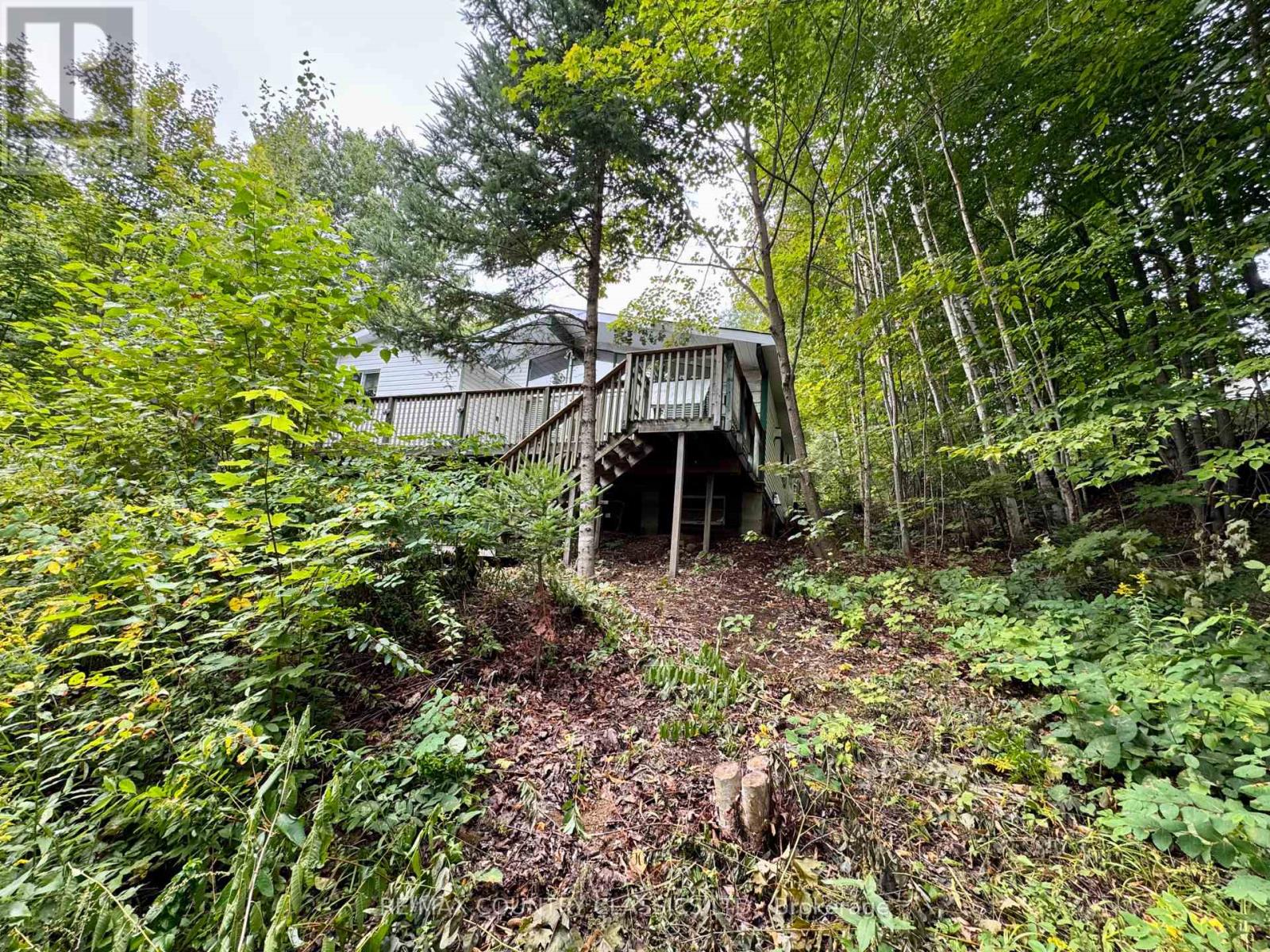 256 Elgin Road, Hastings Highlands (Mcclure Ward), Ontario  K0L 2K0 - Photo 2 - X12370611