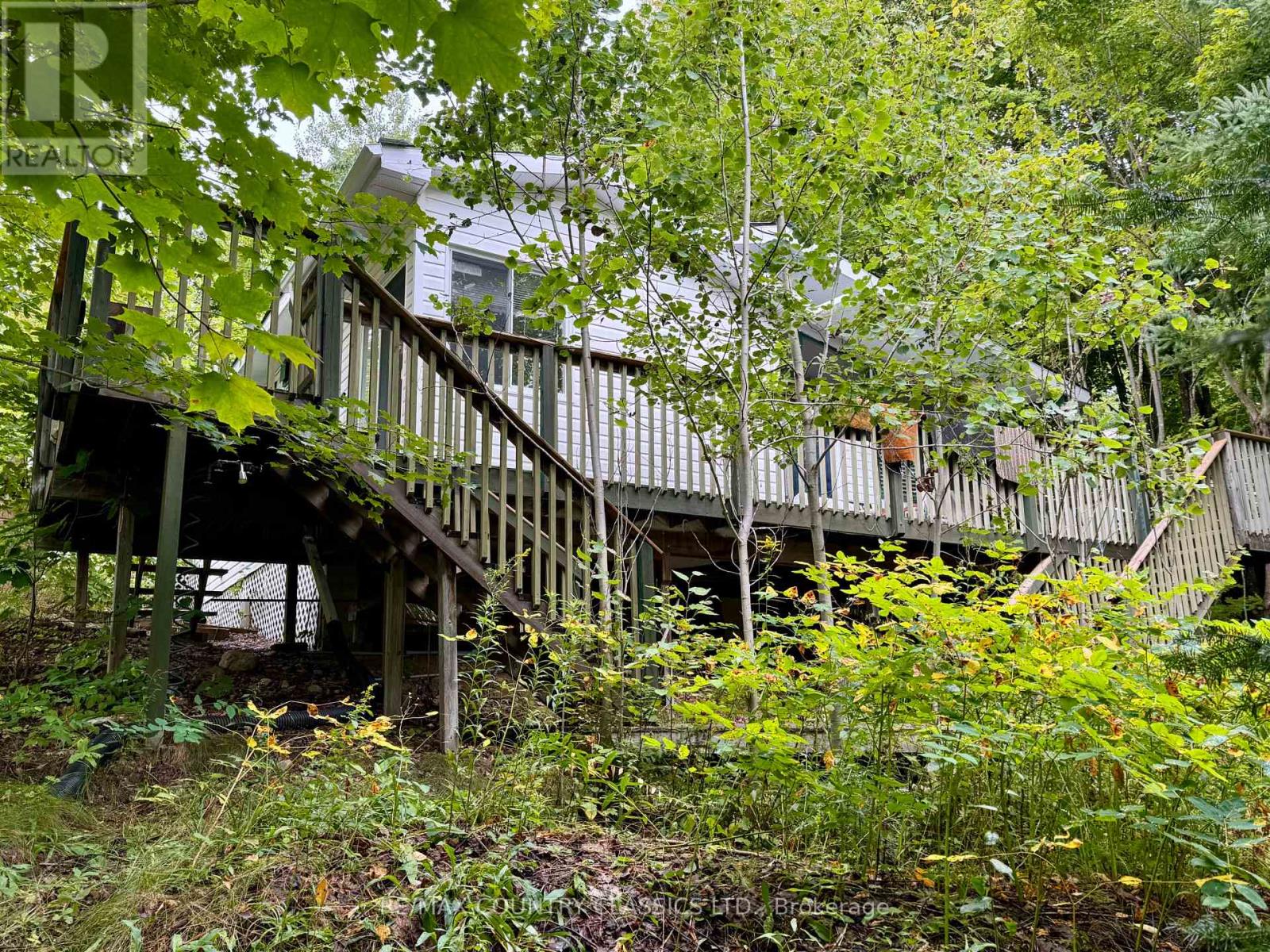 256 Elgin Road, Hastings Highlands, Ontario  K0L 2K0 - Photo 6 - X12370611