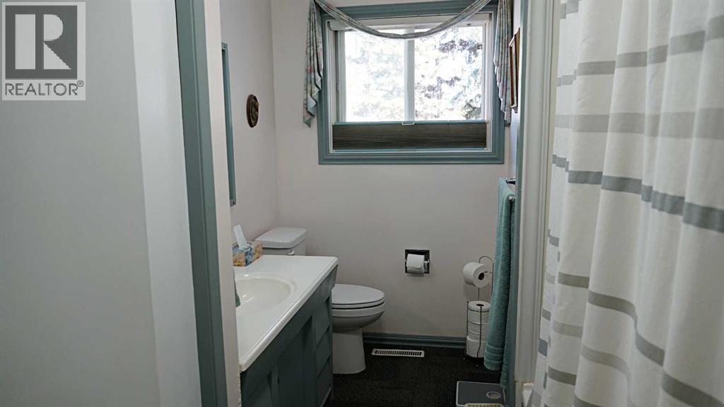 101 2nd Street E, Derwent, Alberta  T0B 1C0 - Photo 19 - A2252378