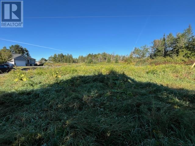 390 Balsam St, Thunder Bay, Ontario  P7A 5P3 - Photo 10 - TB252719