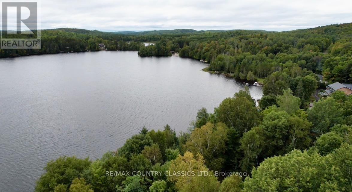 256 Elgin Road, Hastings Highlands, Ontario  K0L 2K0 - Photo 38 - X12370611
