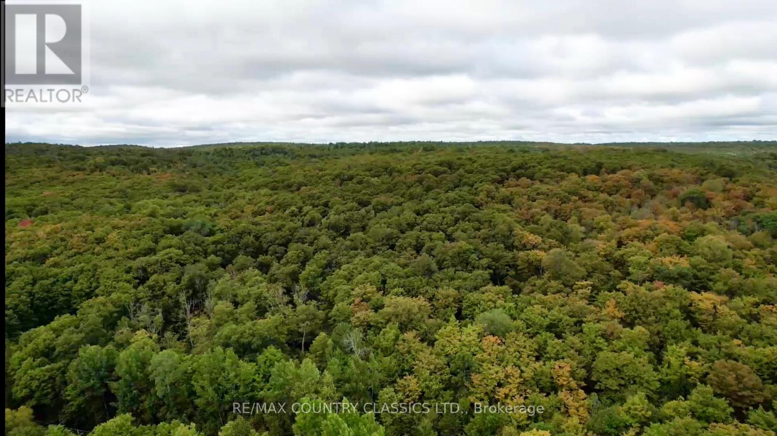 256 Elgin Road, Hastings Highlands, Ontario  K0L 2K0 - Photo 40 - X12370611