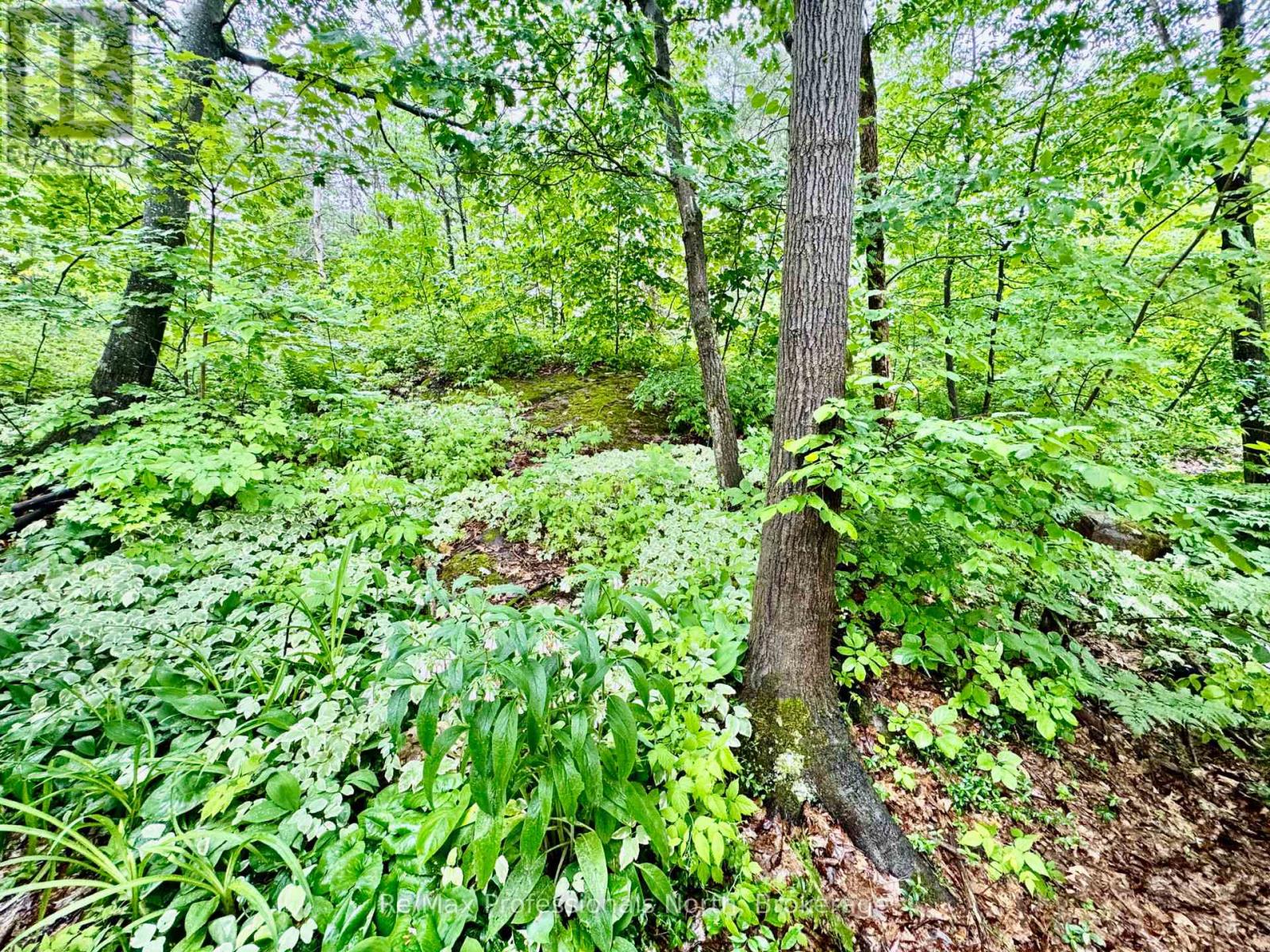 45 - 1007 Racoon Road, Gravenhurst, Ontario  P1P 1R1 - Photo 25 - X12370896