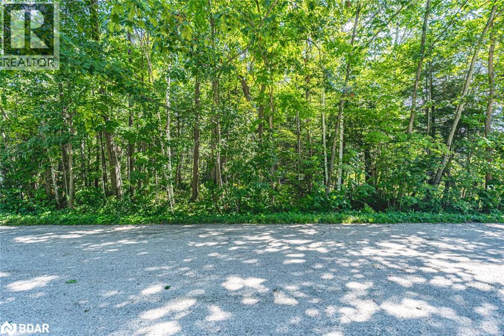 38 Lasalle Trail, Tiny, Ontario  L9M 0G3 - Photo 6 - 40764000