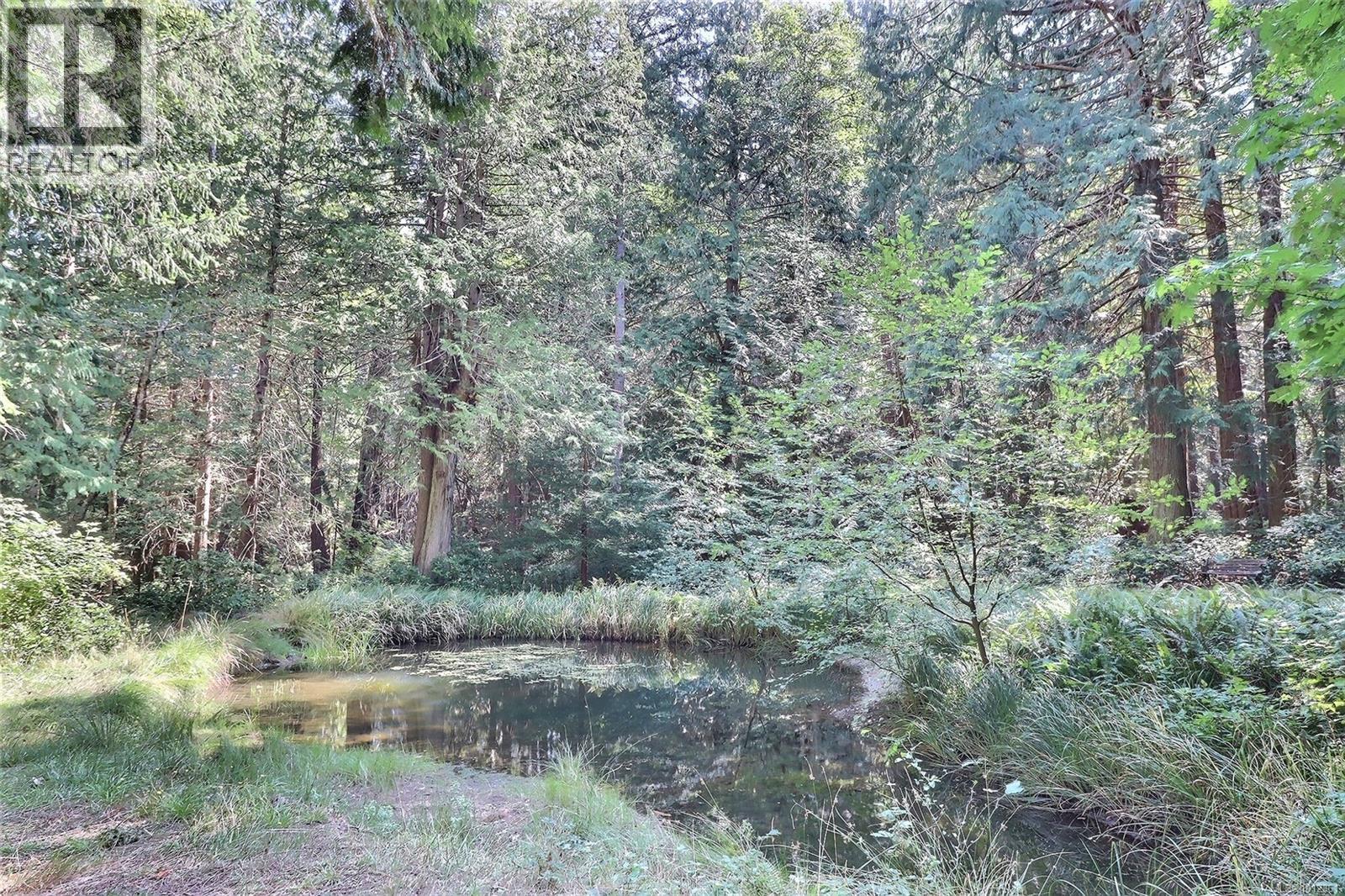 6375 St Johns Point Rd, Hornby Island, British Columbia  V0R 1Z0 - Photo 10 - 1012361