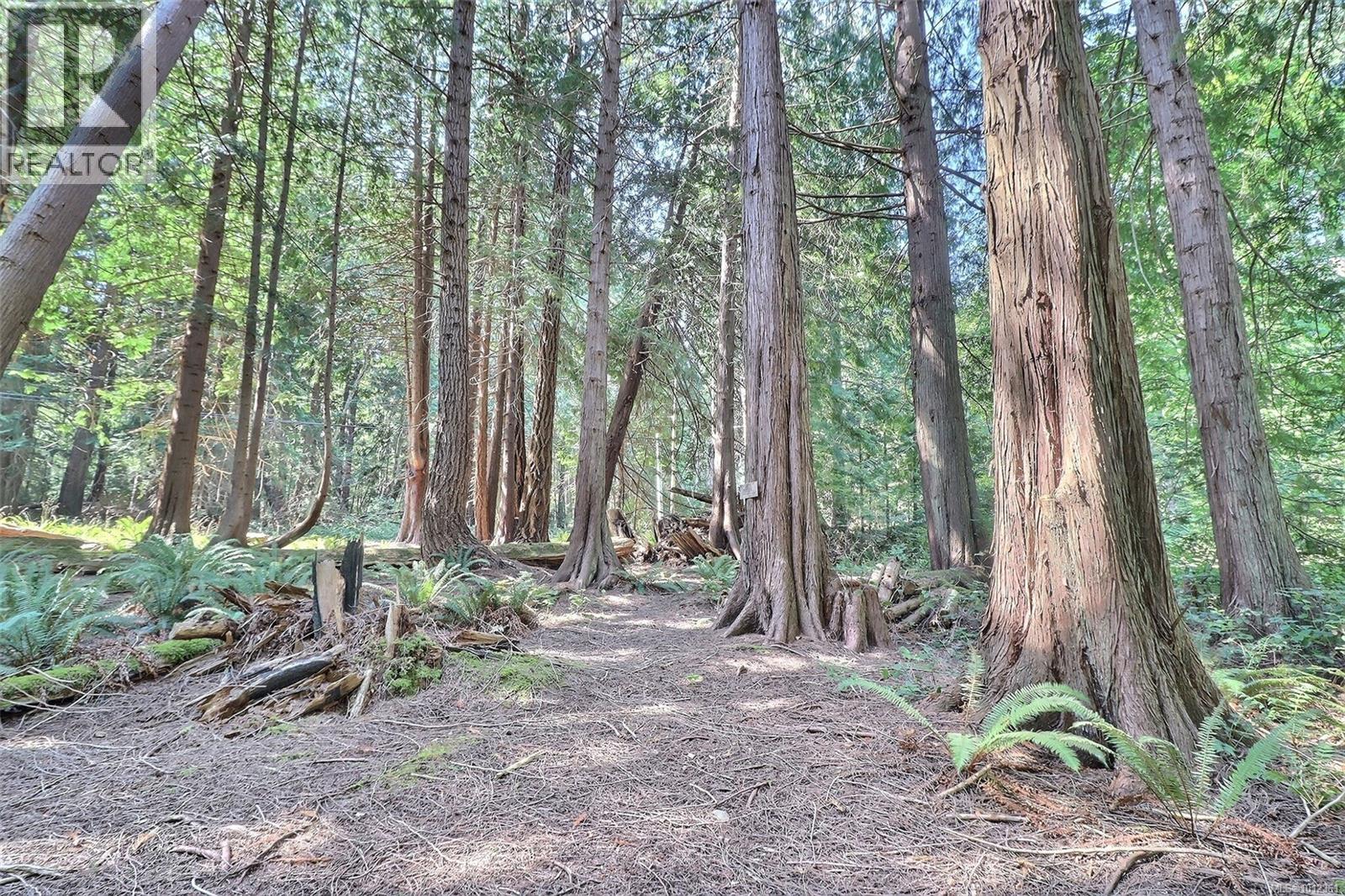 6375 St Johns Point Rd, Hornby Island, British Columbia  V0R 1Z0 - Photo 3 - 1012361