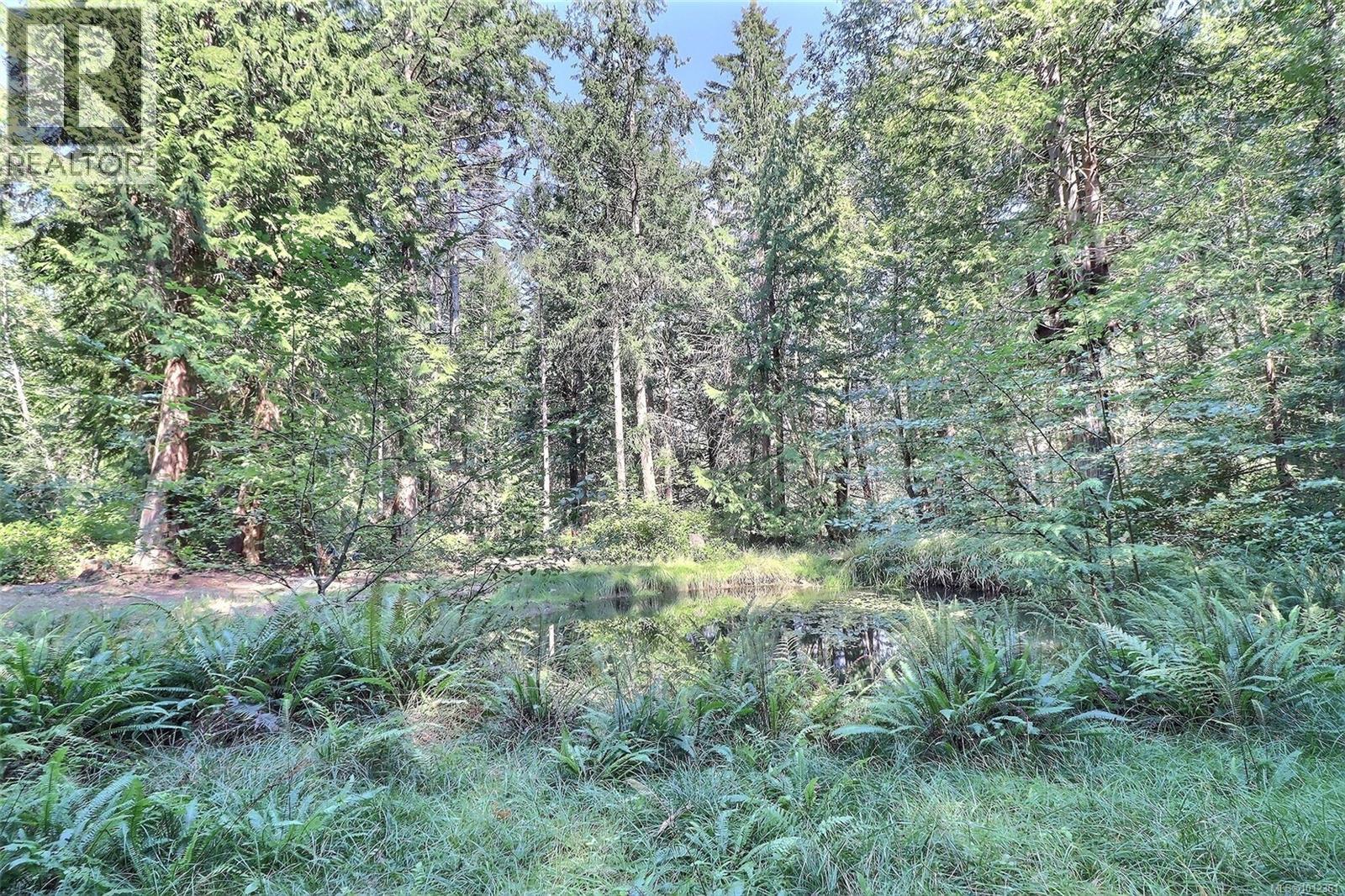 6375 St Johns Point Rd, Hornby Island, British Columbia  V0R 1Z0 - Photo 6 - 1012361
