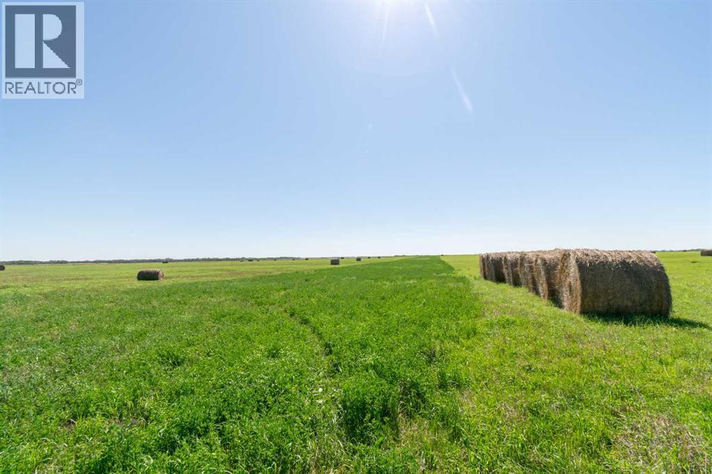 13139 Twp Rd. 395, Rural Stettler No. 6, Alberta  T0C 2L0 - Photo 45 - A2252267