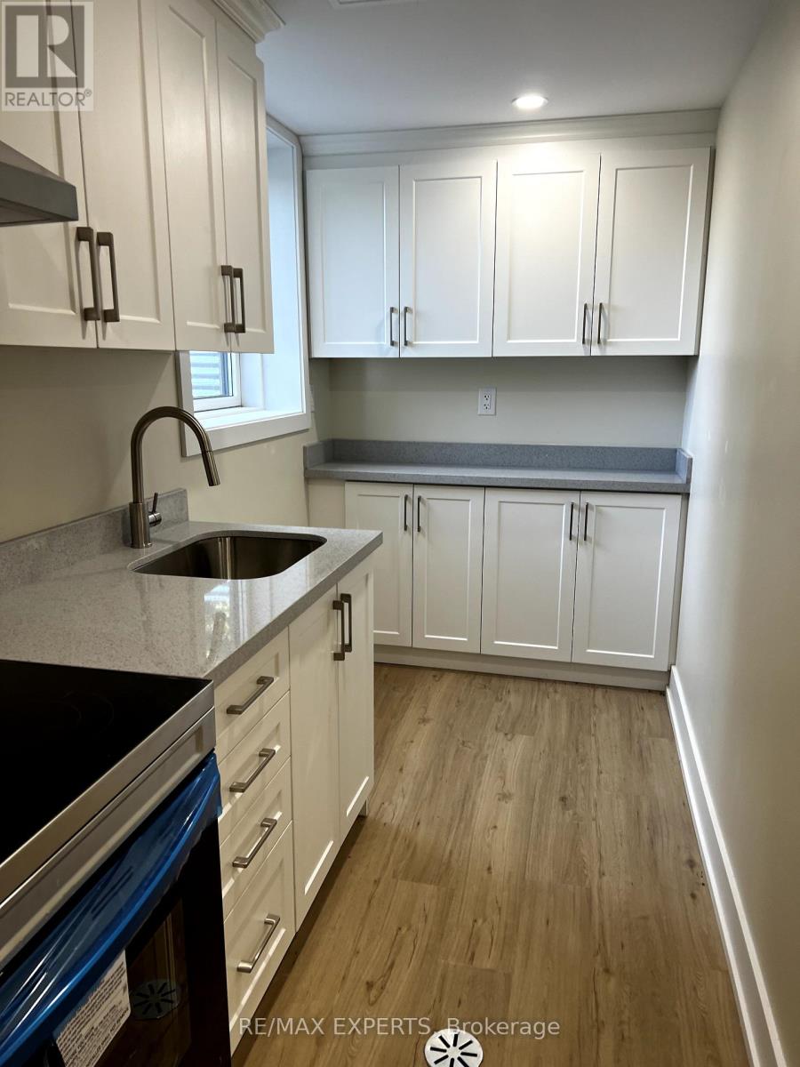 Lower Level - 3131 Lenester Drive, Mississauga, Ontario  L5C 2B7 - Photo 4 - W12371161