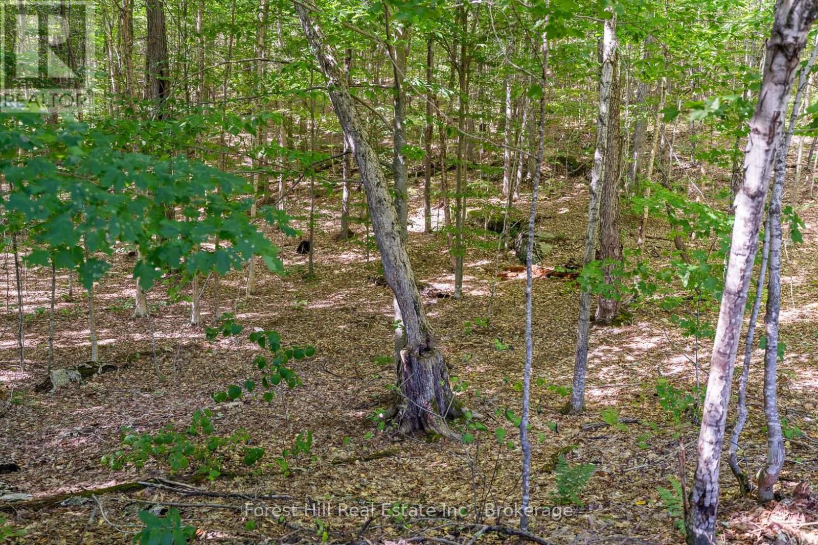 2851 Kawagama Lake Road, Algonquin Highlands, Ontario  P0A 1E0 - Photo 27 - X12371218