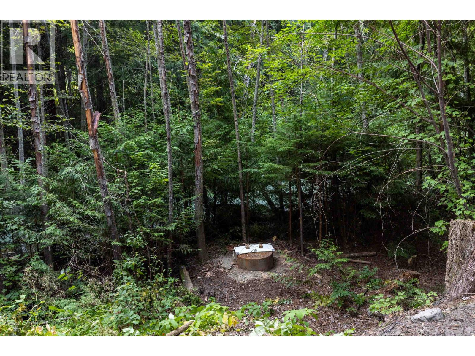 8896 Pemberton Portage Road, Pemberton, British Columbia  V0N 2L0 - Photo 12 - R3041644