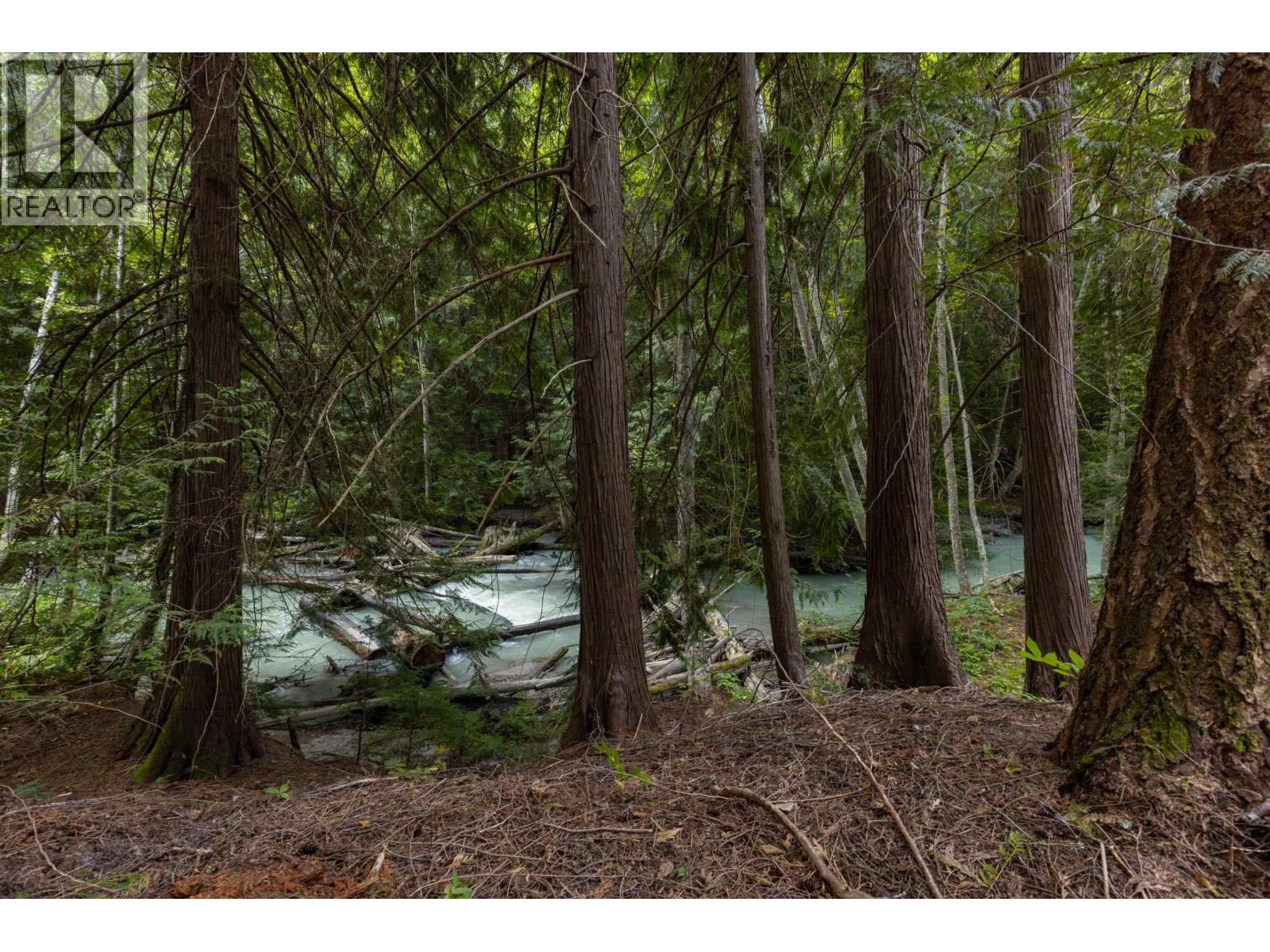 8896 Pemberton Portage Road, Pemberton, British Columbia  V0N 2L0 - Photo 5 - R3041644