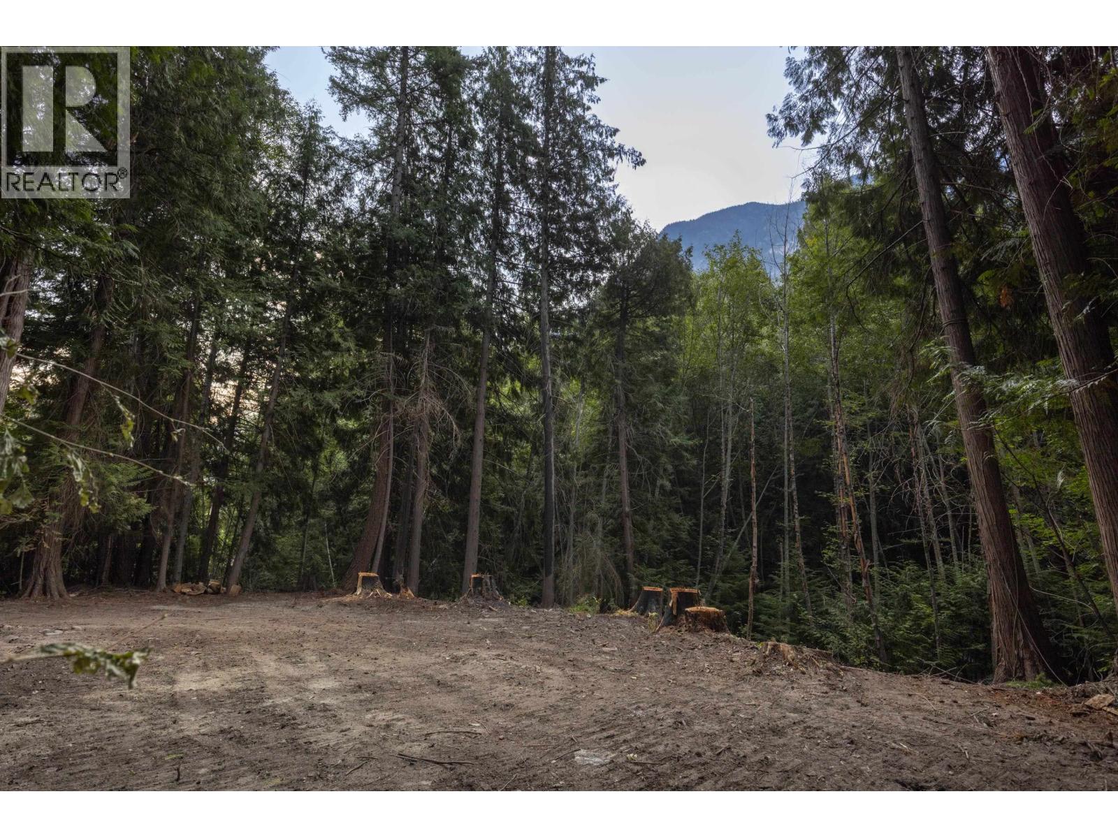 8896 Pemberton Portage Road, Pemberton, British Columbia  V0N 2L0 - Photo 8 - R3041644
