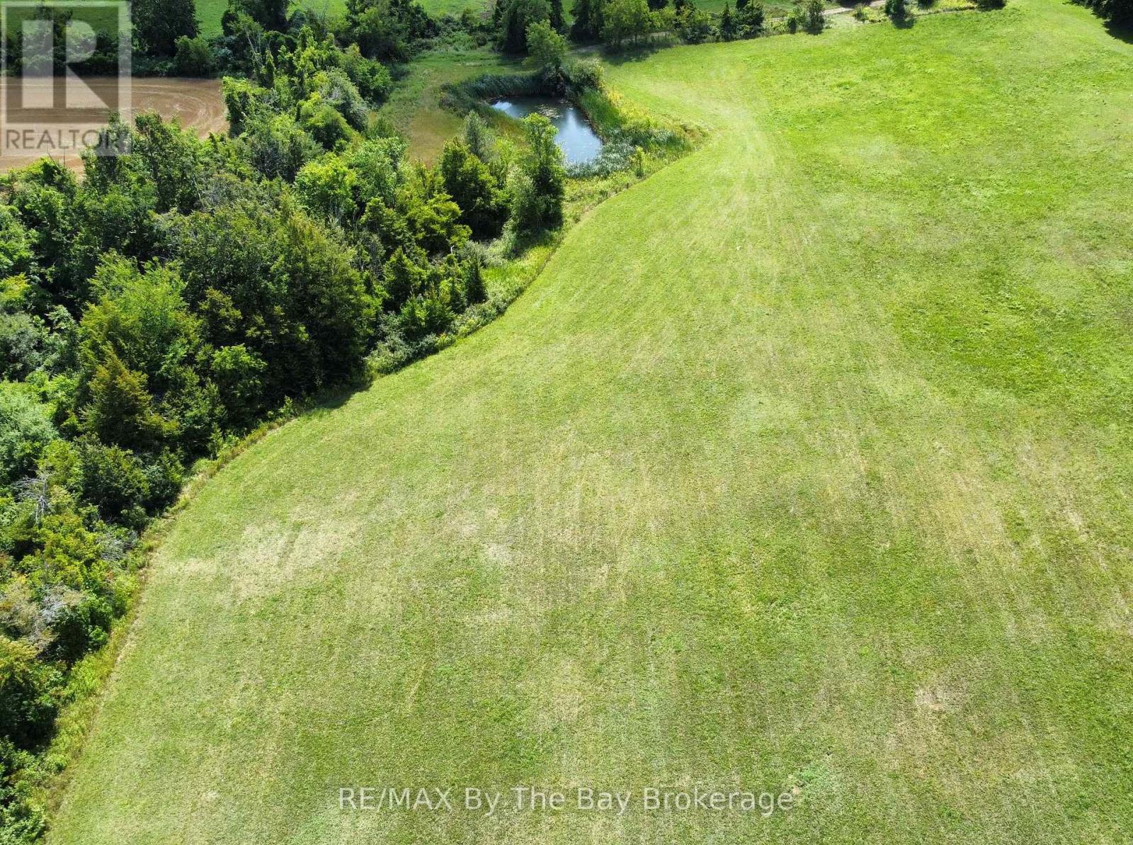 12 Sydenham Trail, Clearview, Ontario  L0M 1H0 - Photo 2 - S12371331