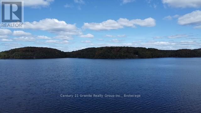 1119 Wampum Road, Dysart Et Al (Dudley), Ontario  K0M 1S0 - Photo 45 - X12371488