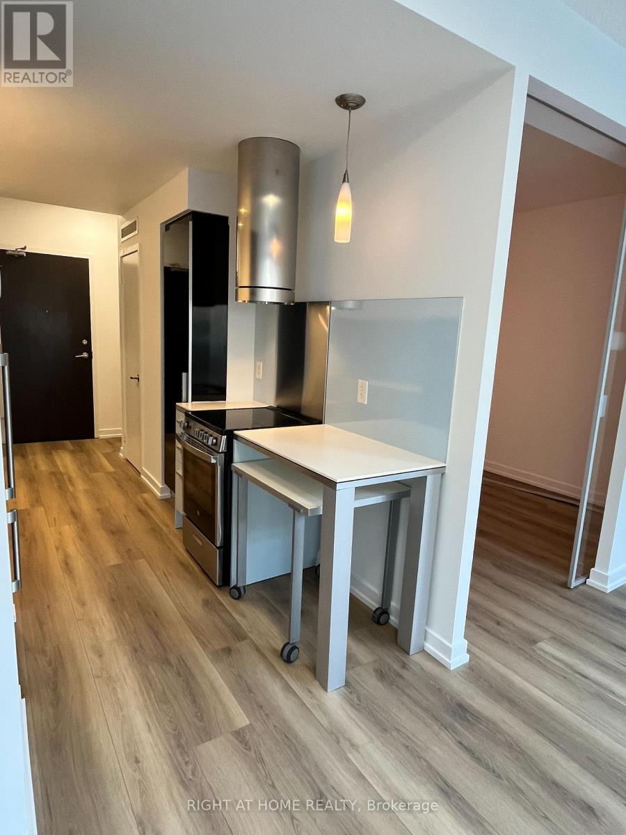 202 - 38 Dan Leckie Way, Toronto (Waterfront Communities), Ontario  M5V 2V6 - Photo 19 - C12365145