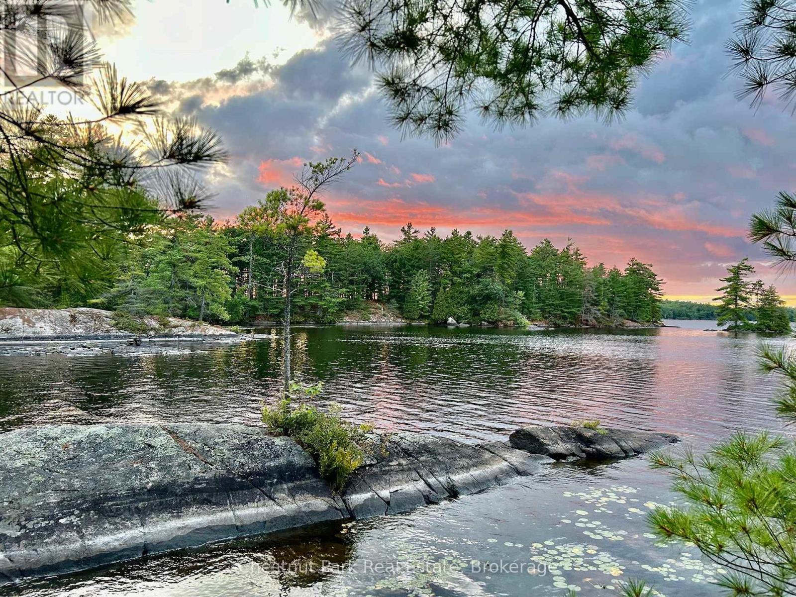 10 Island 21kl, Gravenhurst, Ontario  P0E 1G0 - Photo 3 - X12371731