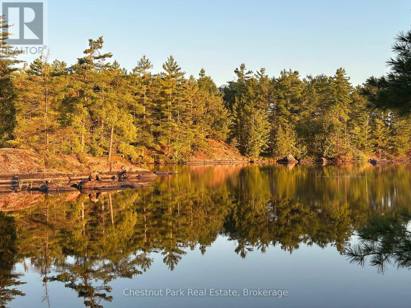 10 Island 21kl, Gravenhurst, Ontario  P0E 1G0 - Photo 5 - X12371731