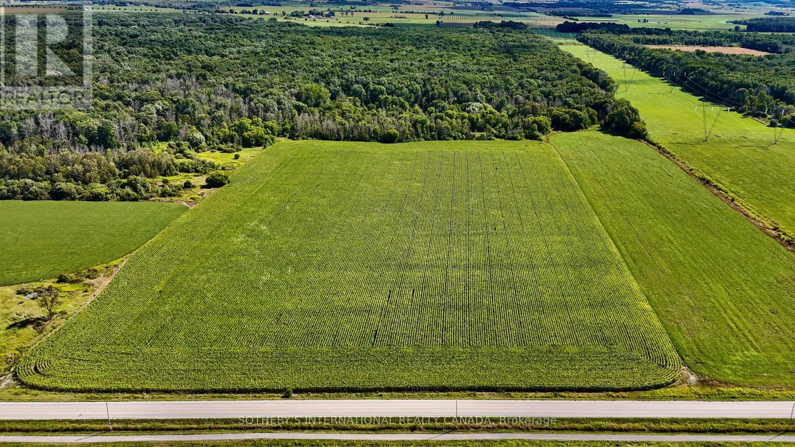 5231 13th Line, New Tecumseth, Ontario  L0G 1B0 - Photo 3 - N12367310