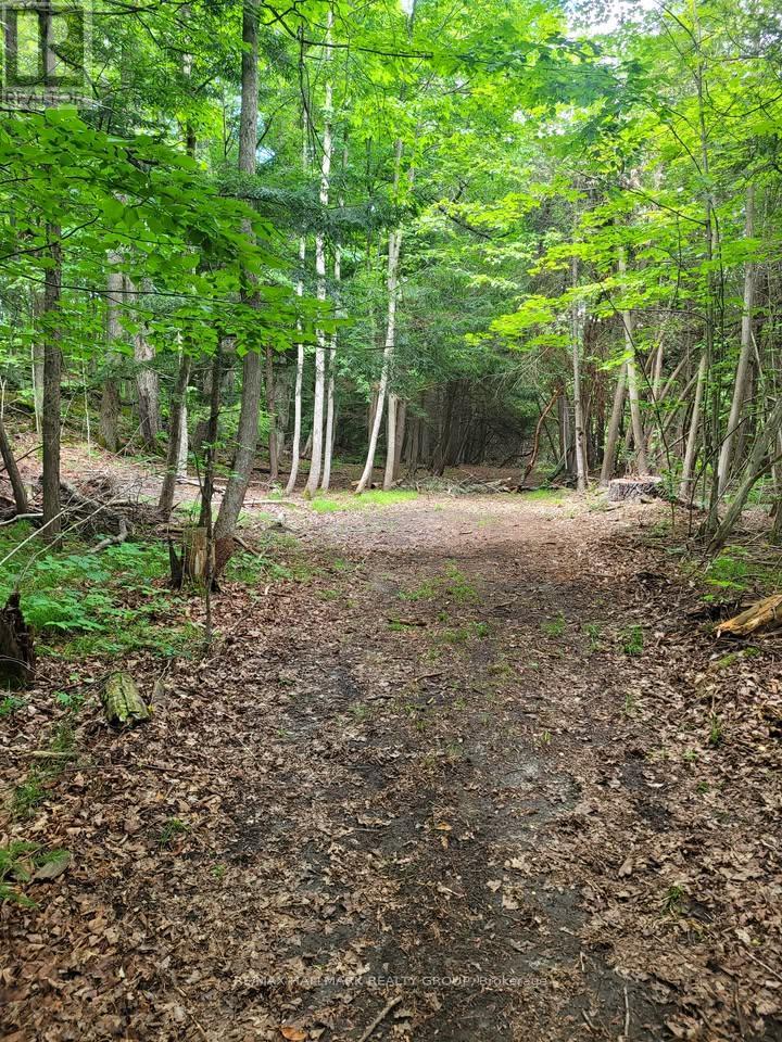 1352 County 43 Road Highway W, Montague, Ontario  K0G 1N0 - Photo 40 - X12226804