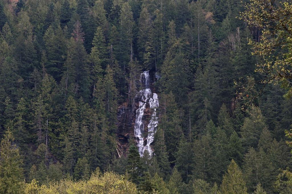 53 53480 Bridal Falls Road, Bridal Falls, Rosedale, British Columbia  V0X 1X1 - Photo 36 - R2980098