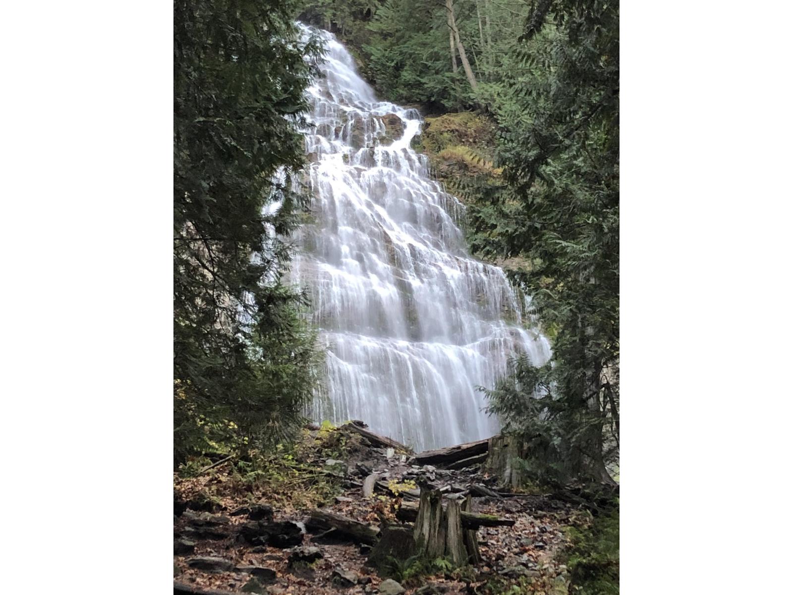 53 53480 Bridal Falls Road, Bridal Falls, Rosedale, British Columbia  V0X 1X1 - Photo 33 - R2980098