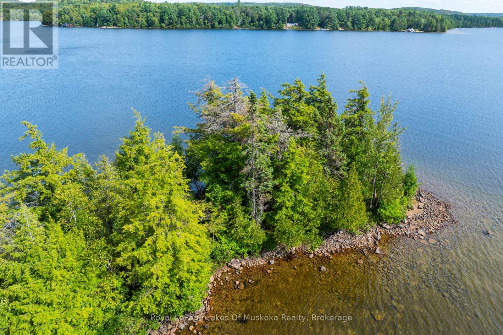 1053 Robson Lane, Lake Of Bays, Ontario  P0A 1H0 - Photo 3 - X12371838