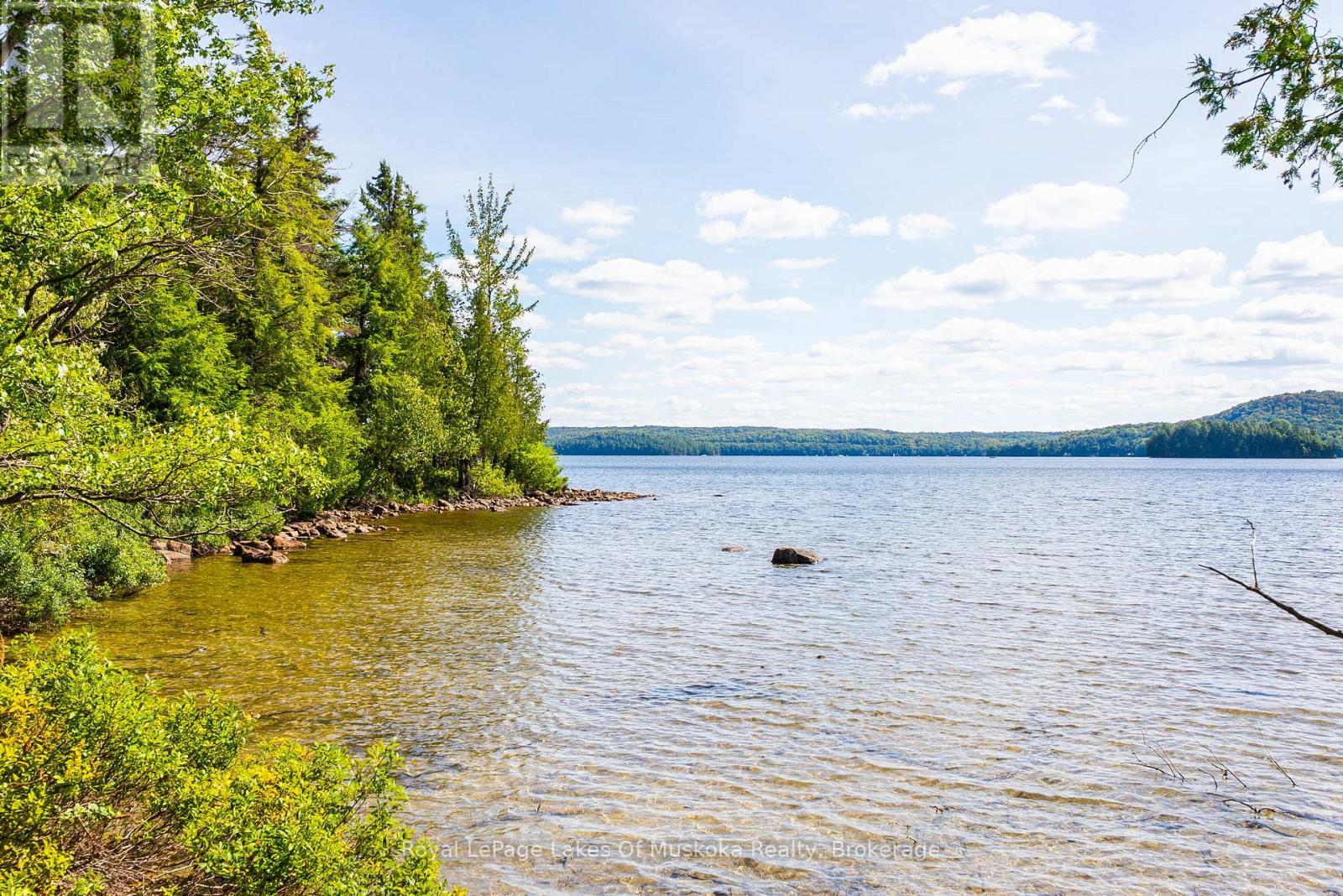 1053 Robson Lane, Lake Of Bays, Ontario  P0A 1H0 - Photo 37 - X12371838