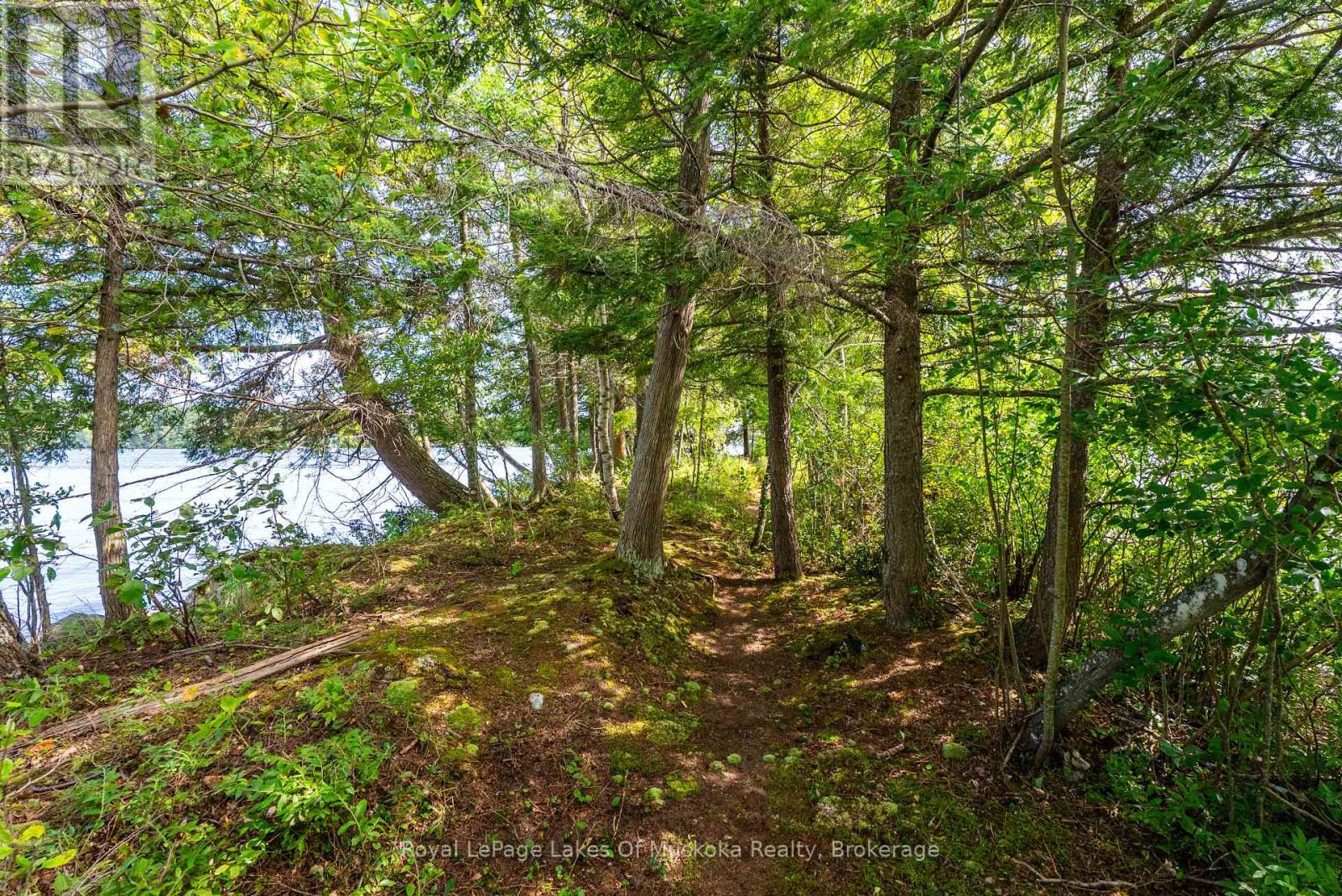 1053 Robson Lane, Lake Of Bays, Ontario  P0A 1H0 - Photo 42 - X12371838