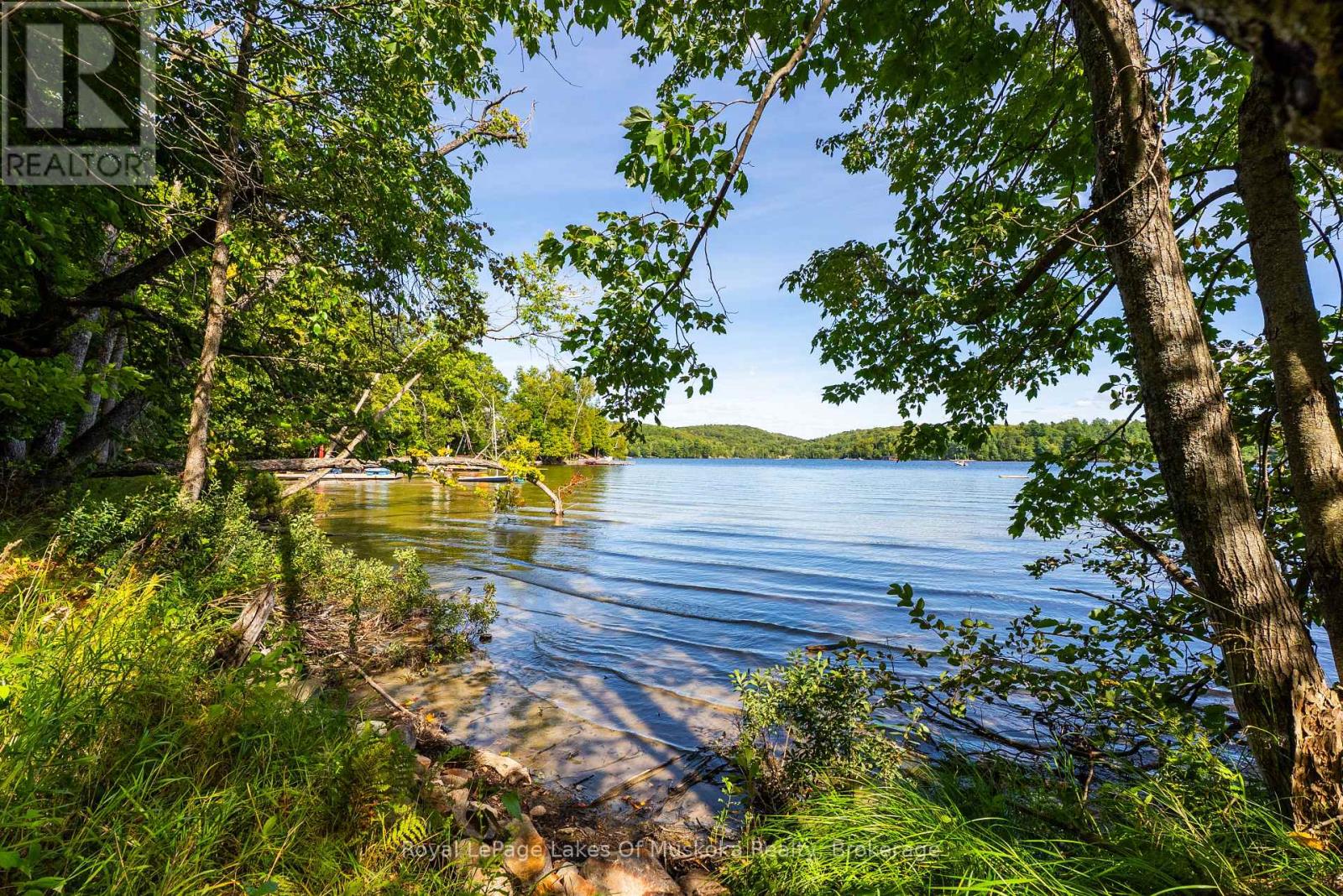 1053 Robson Lane, Lake Of Bays, Ontario  P0A 1H0 - Photo 6 - X12371838
