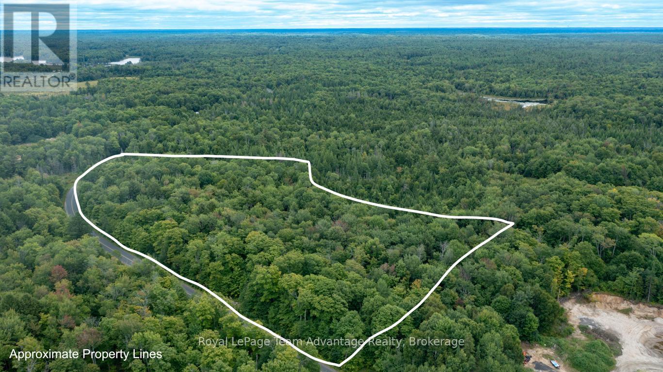 Lot 17 Skerryvore Community Road, The Archipelago, Ontario  P0G 1K0 - Photo 1 - X12371844