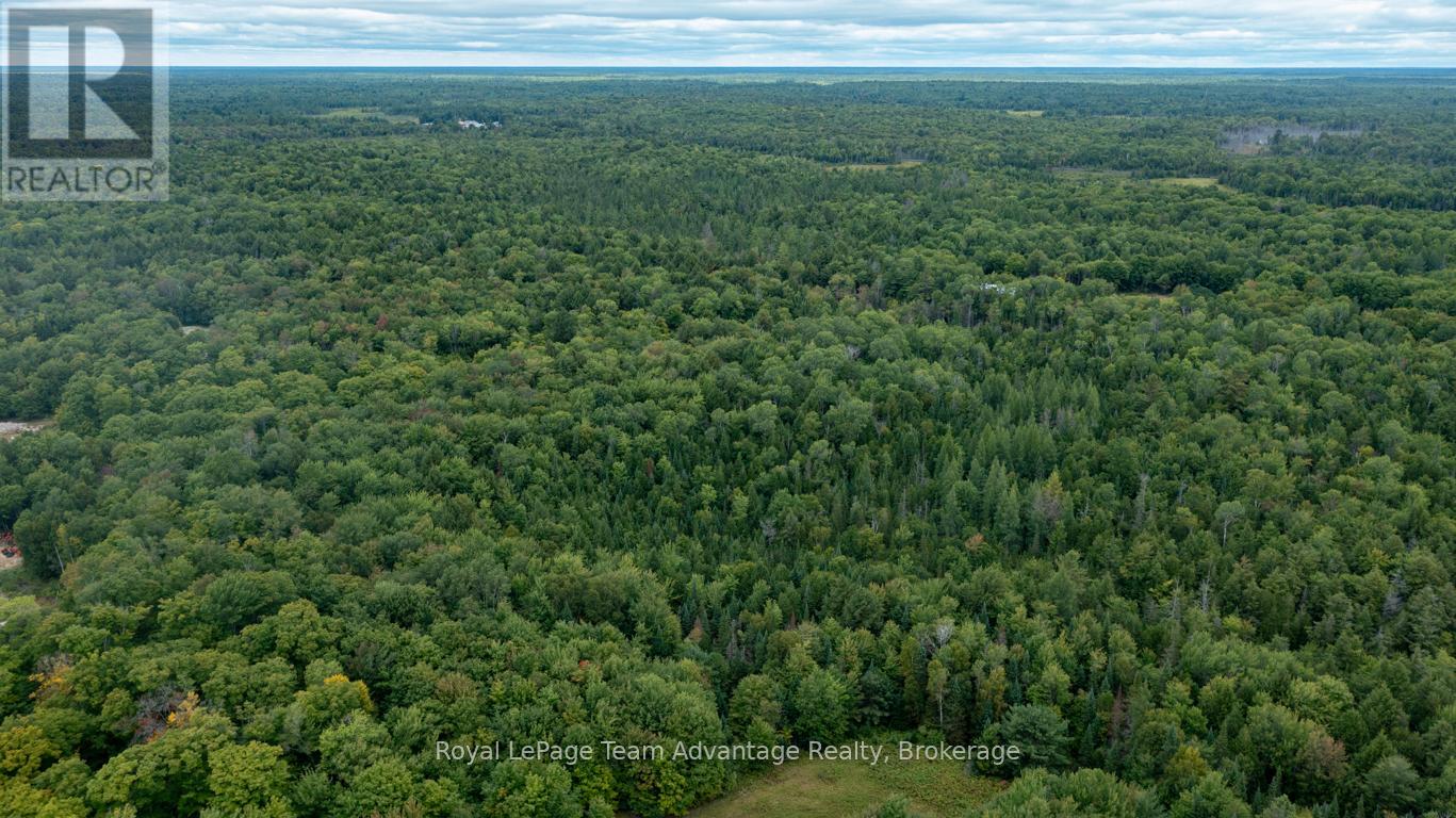 Lot 17 Skerryvore Community Road, The Archipelago, Ontario  P0G 1K0 - Photo 11 - X12371844