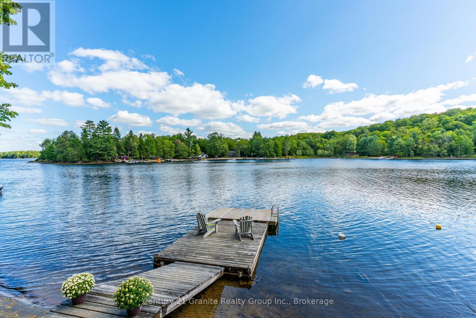 1291 Shanahan Trail, Minden Hills, Ontario  K0M 2K0 - Photo 37 - X12371942