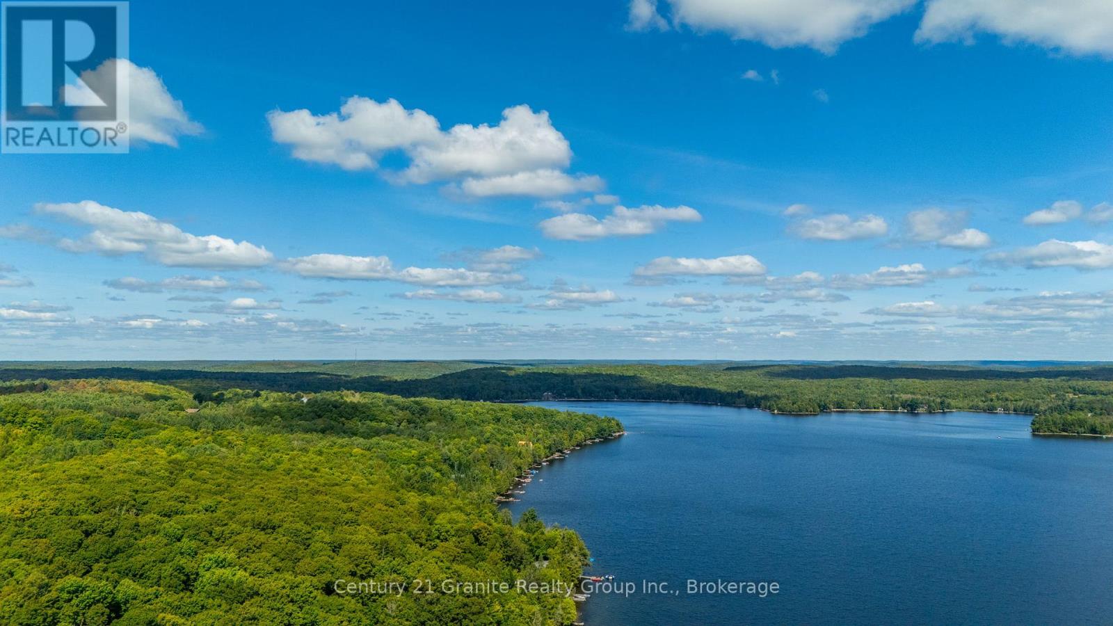 1291 Shanahan Trail, Minden Hills, Ontario  K0M 2K0 - Photo 47 - X12371942