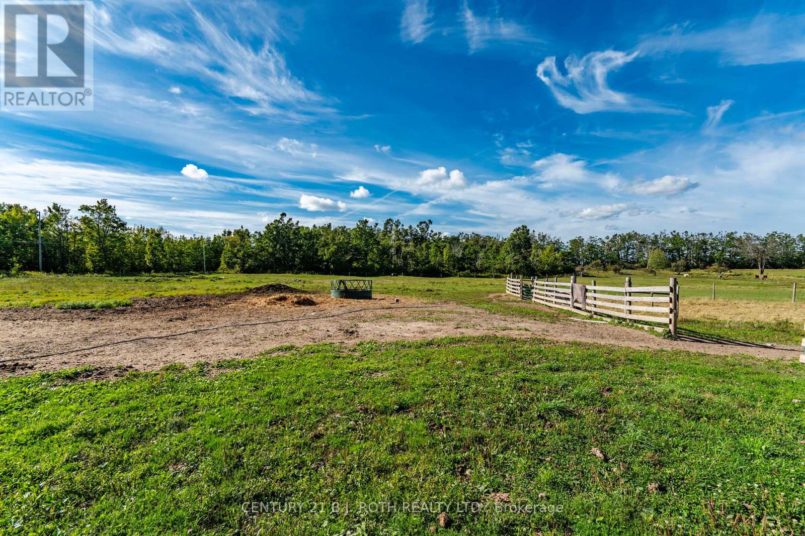 363 12 Line N, Oro-Medonte, Ontario  L0L 1T0 - Photo 16 - S12371979