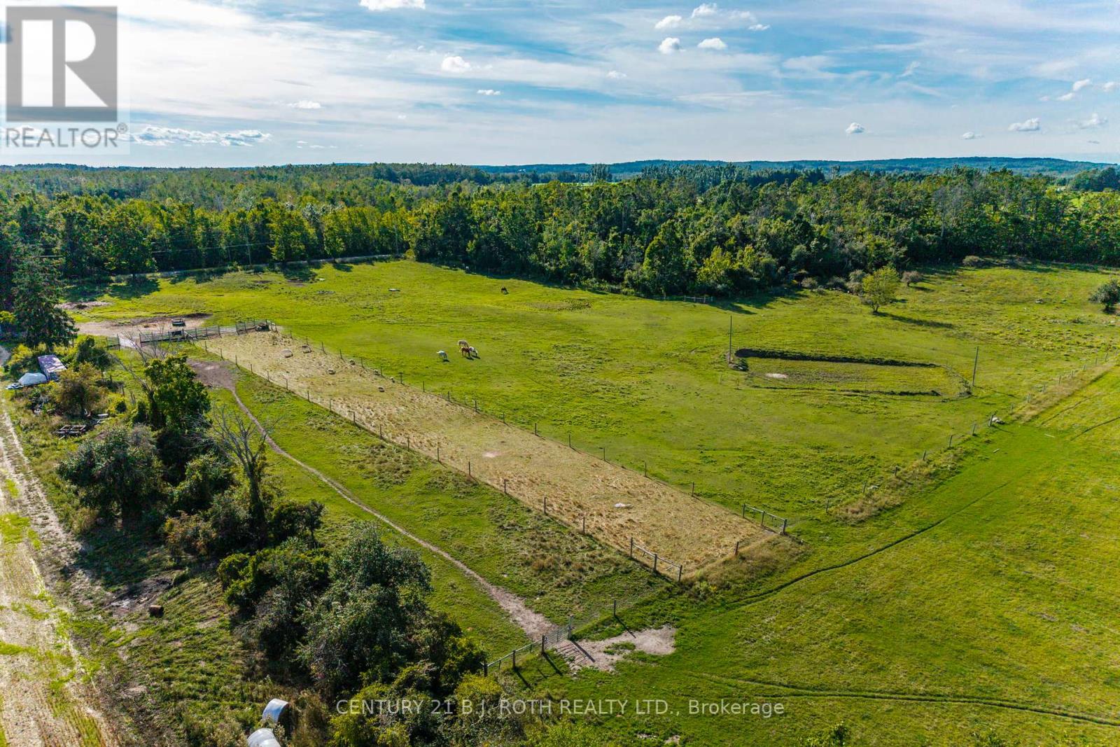 363 12 Line N, Oro-Medonte, Ontario  L0L 1T0 - Photo 5 - S12371979