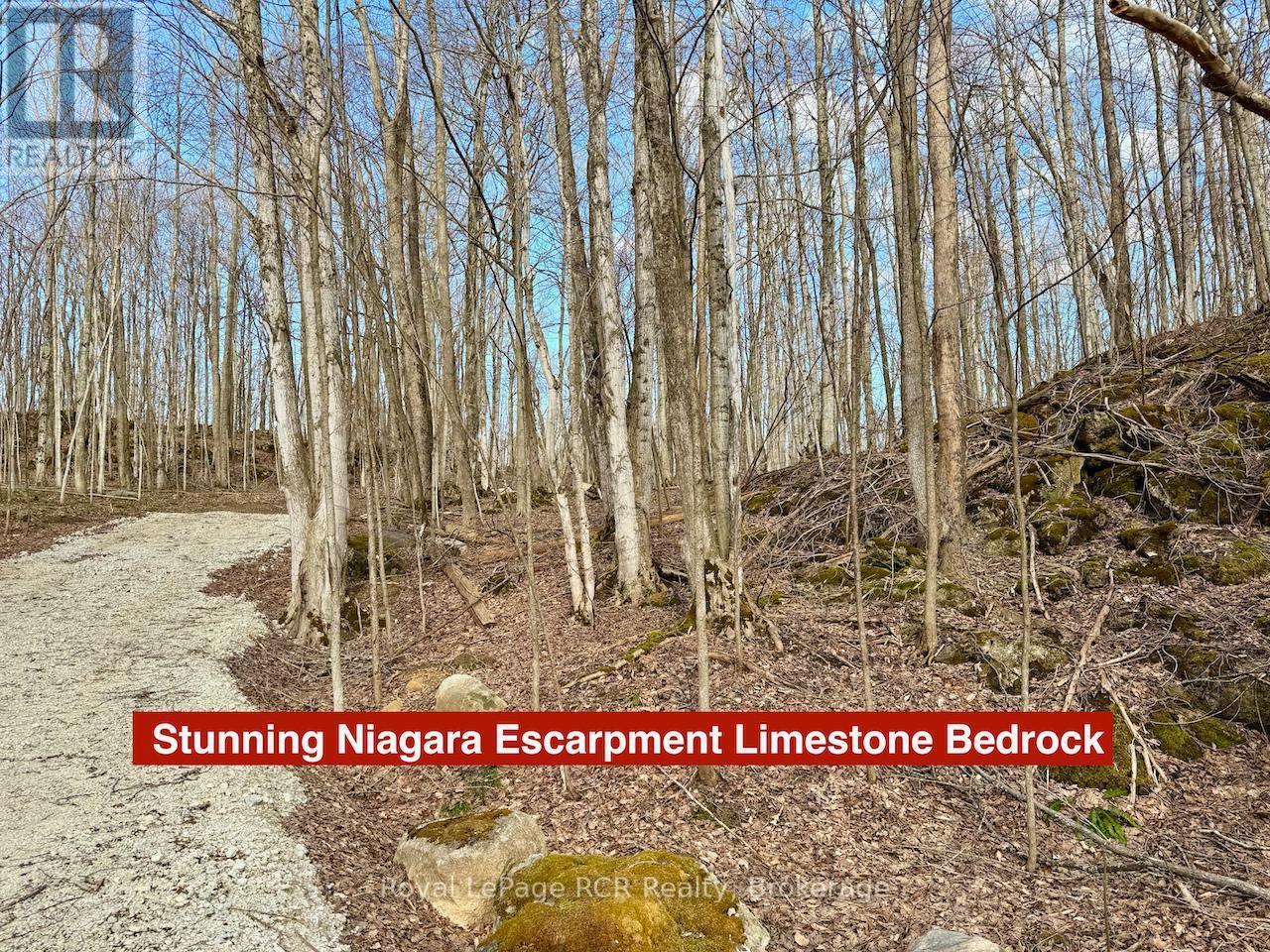 Pt Lt 6 Bruce Road 9 Road, Northern Bruce Peninsula, Ontario  N0H 1W0 - Photo 11 - X12085136