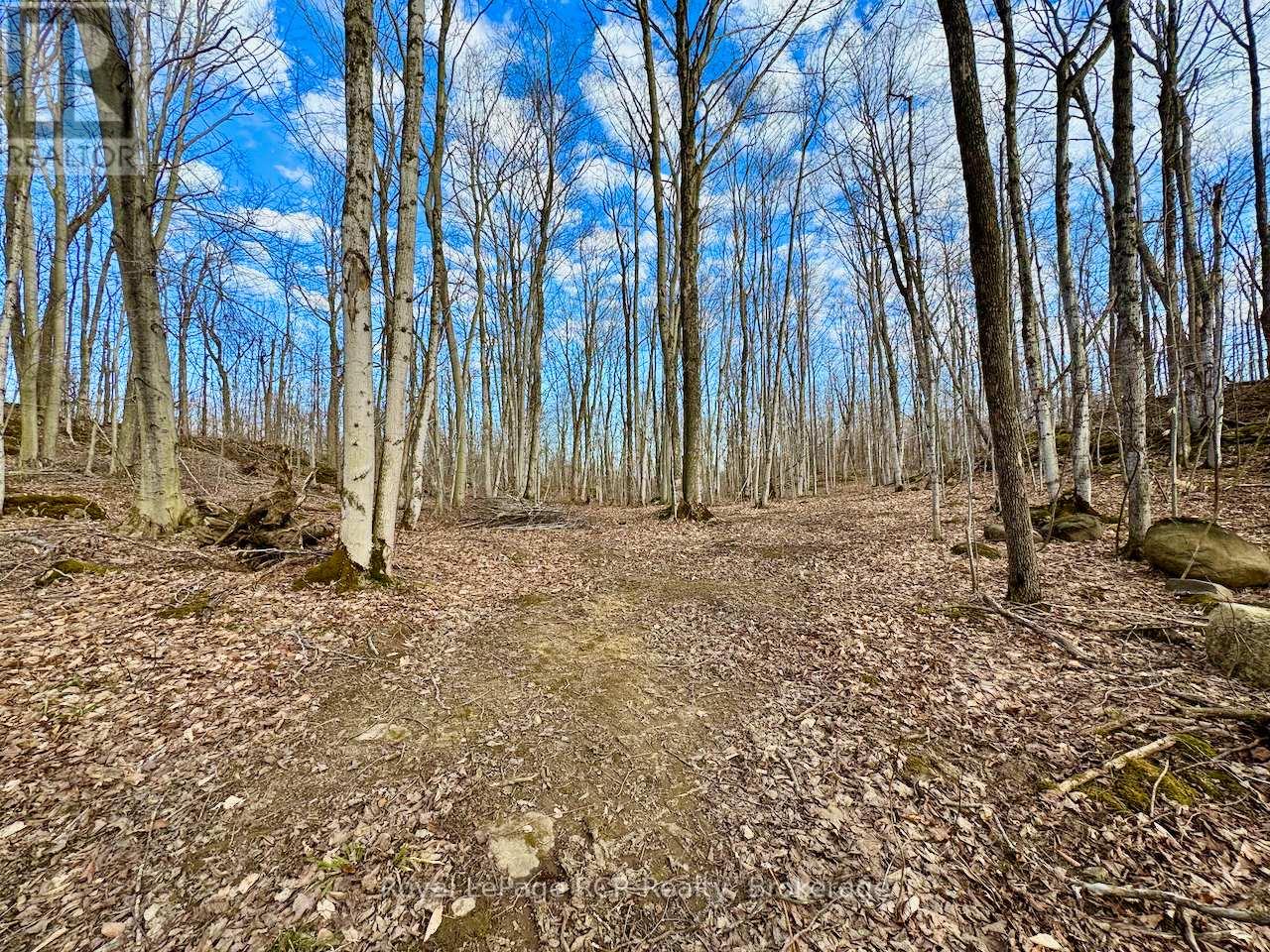 Pt Lt 6 Bruce Road 9 Road, Northern Bruce Peninsula, Ontario  N0H 1W0 - Photo 14 - X12085136