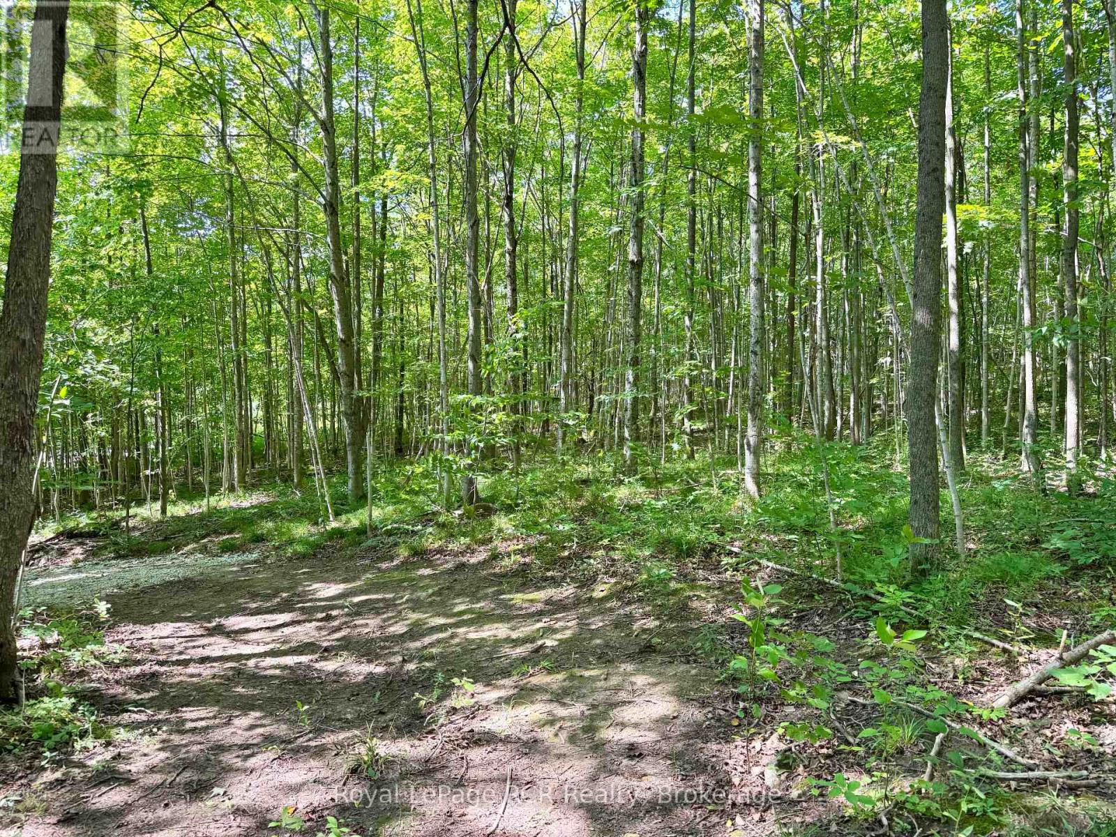 Pt Lt 6 Bruce Road 9 Road, Northern Bruce Peninsula, Ontario  N0H 1W0 - Photo 32 - X12085136
