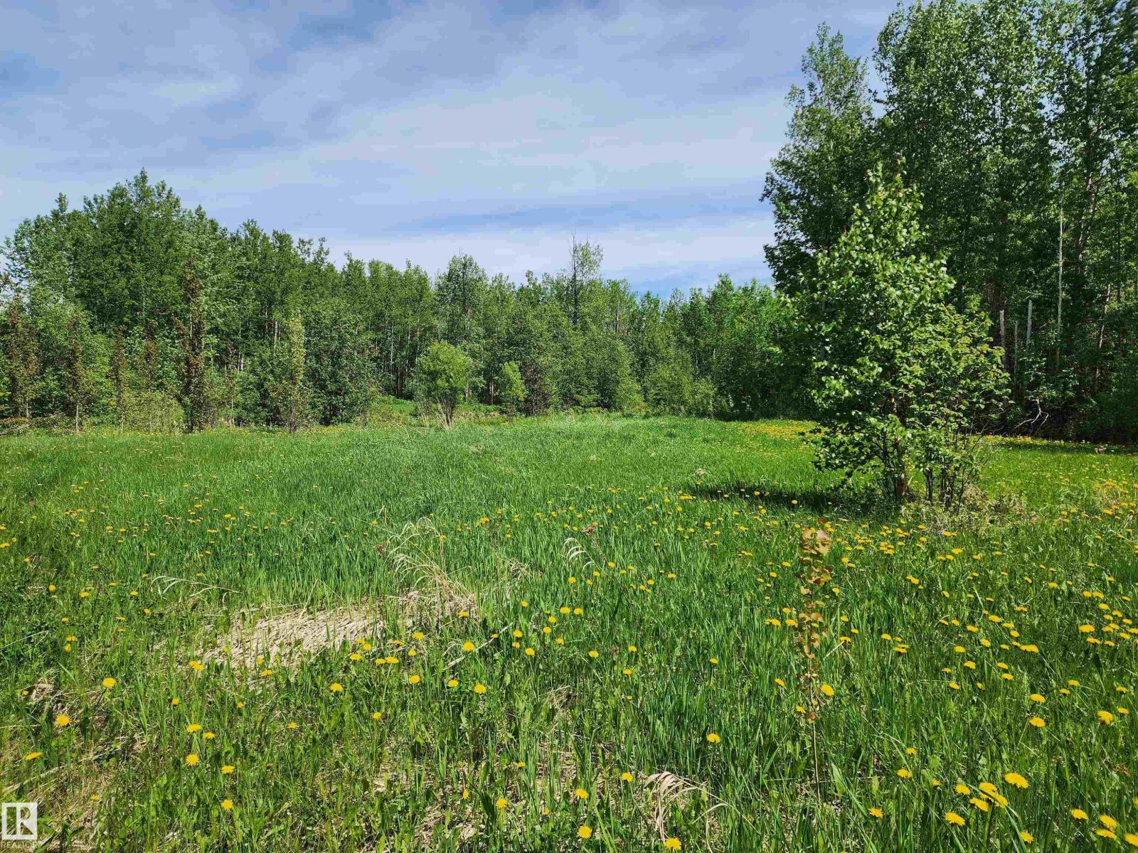 29 Village West, Rural Wetaskiwin County, Alberta  T0C 2V0 - Photo 9 - E4431399