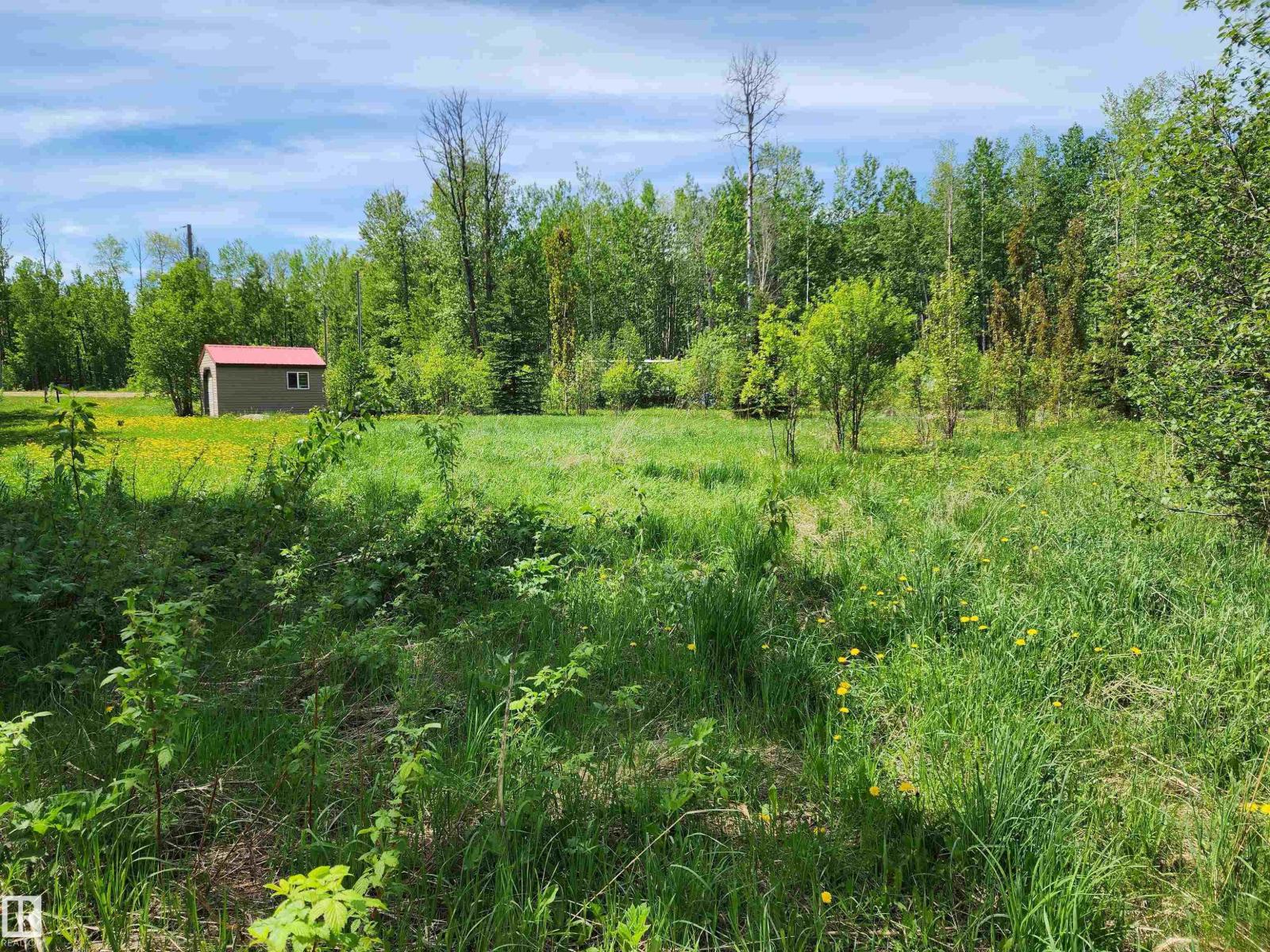 29 Village West, Rural Wetaskiwin County, Alberta  T0C 2V0 - Photo 6 - E4431399