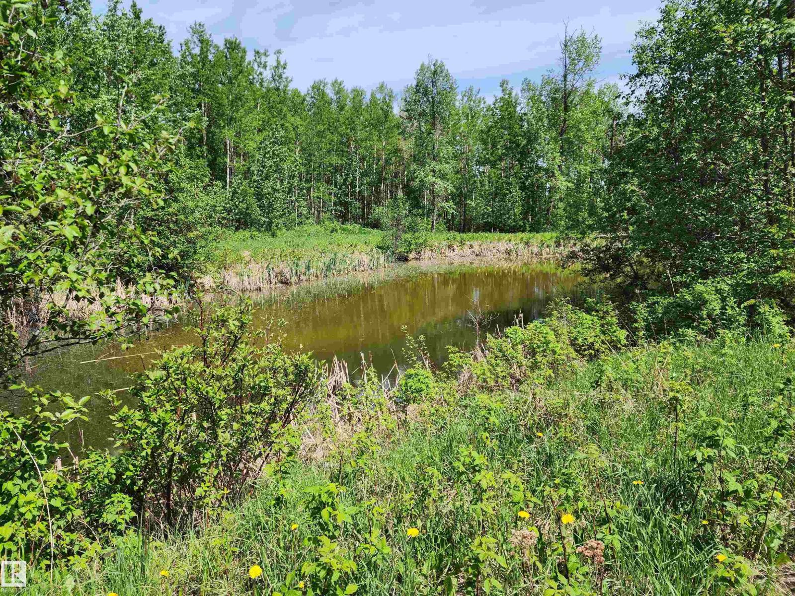 29 Village West, Rural Wetaskiwin County, Alberta  T0C 2V0 - Photo 8 - E4431399