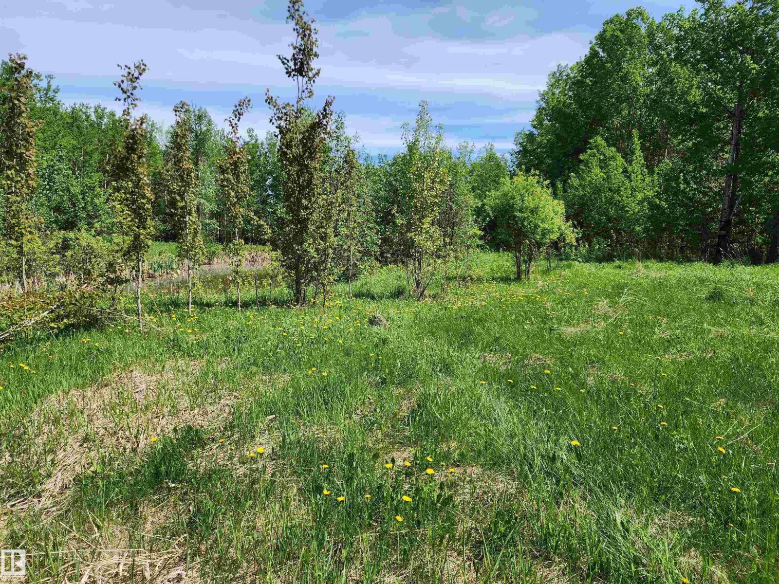 29 Village West, Rural Wetaskiwin County, Alberta  T0C 2V0 - Photo 7 - E4431399