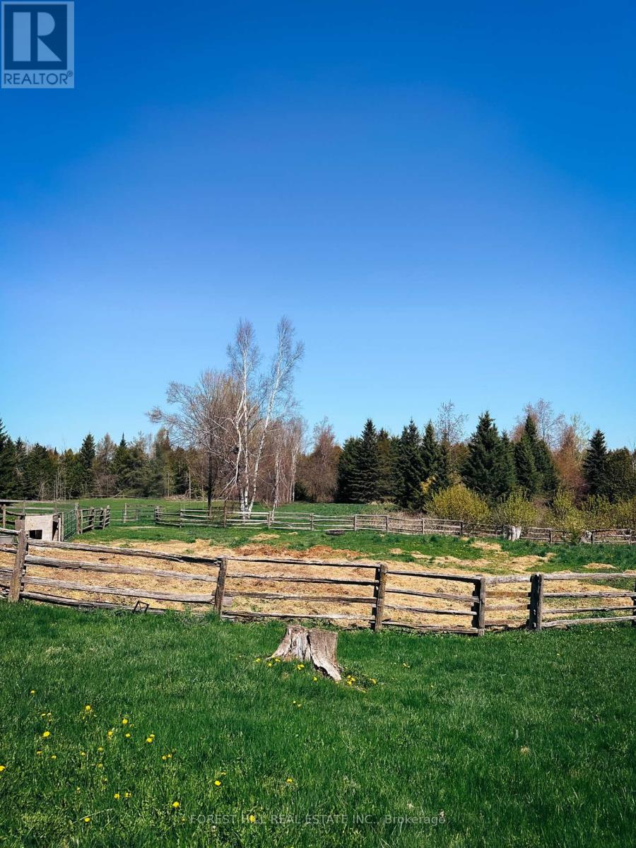 486289 30th Side Road, Mono, Ontario  L9V 1G7 - Photo 12 - X12157229