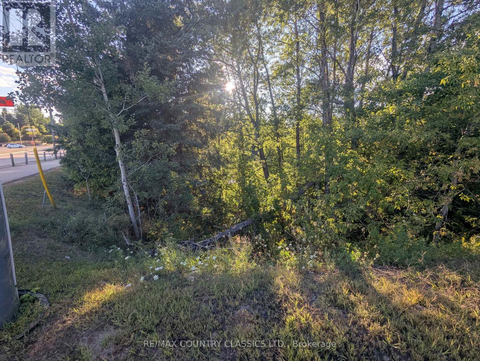 19380 Opeongo Line, Madawaska Valley, Ontario  K0J 1B0 - Photo 10 - X12372036