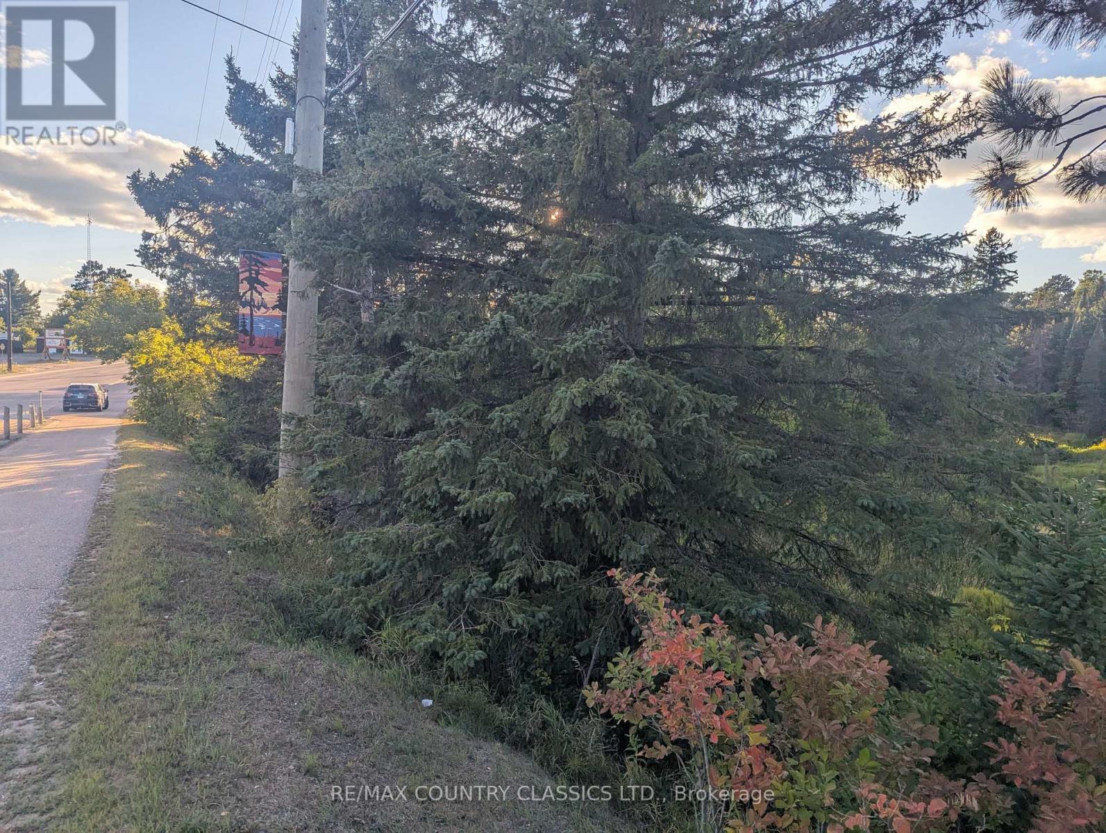 19380 Opeongo Line, Madawaska Valley, Ontario  K0J 1B0 - Photo 7 - X12372036
