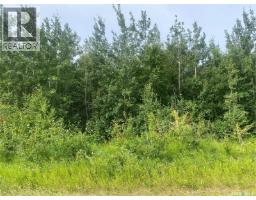 Hwy 2 N Acreage Land, Paddockwood Rm No. 520, Ca